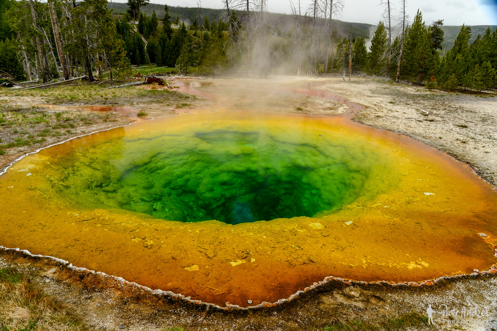 Morning Glory Hot Pool, Yellowstone