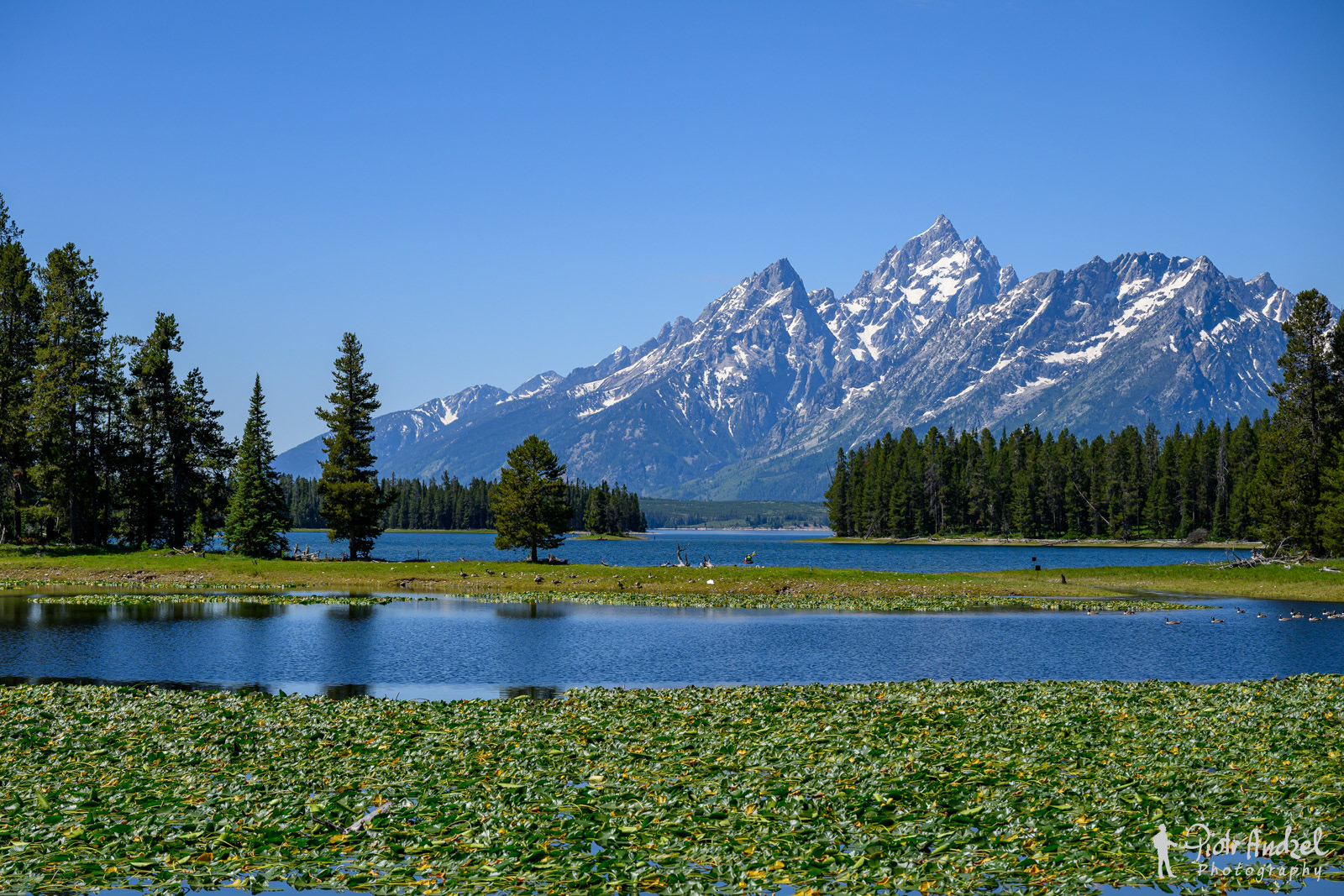 Grand Teton National Park