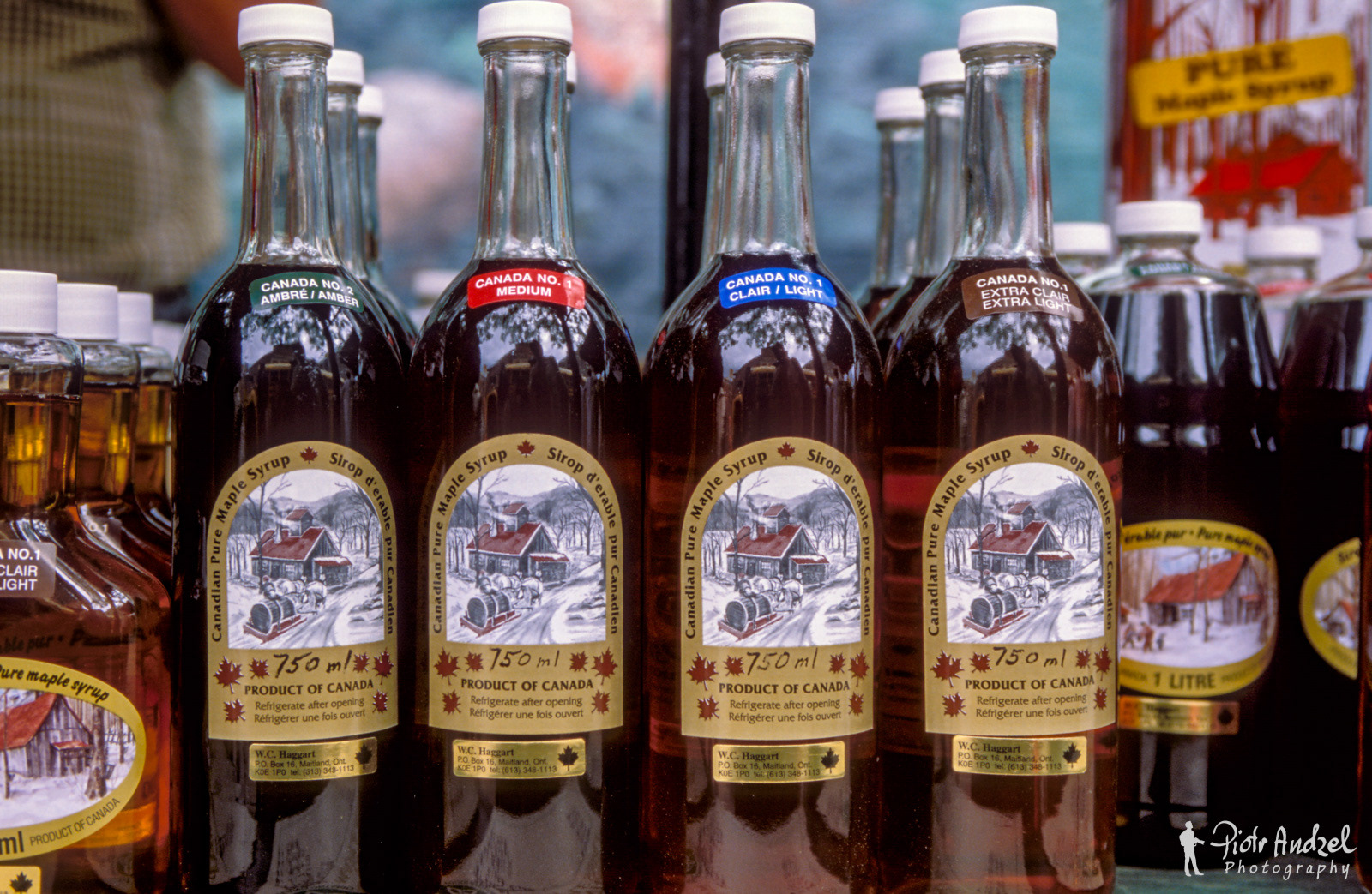 Mapple Syrup