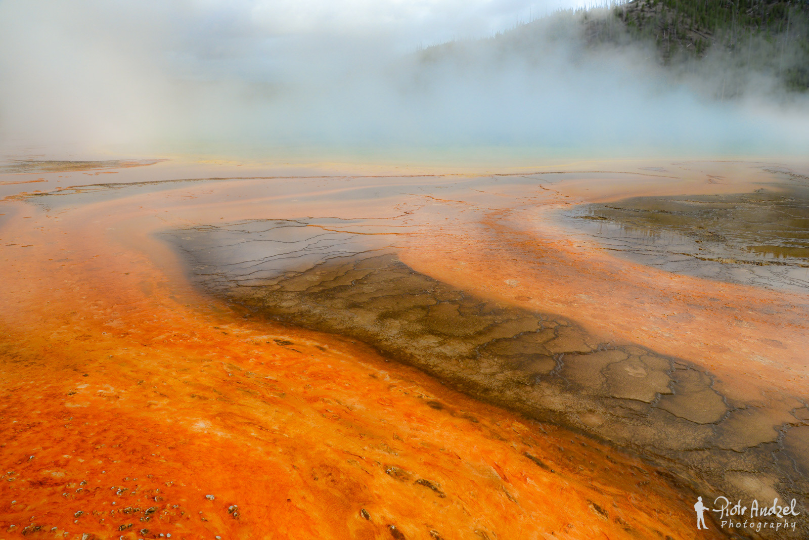 Grand Prismatic Spring