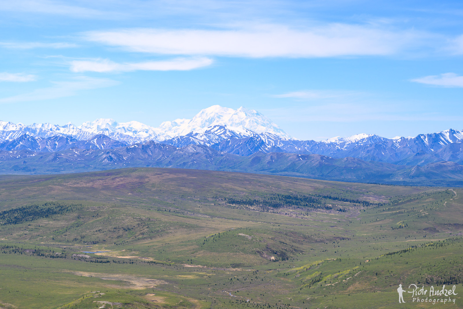 Denali National Park