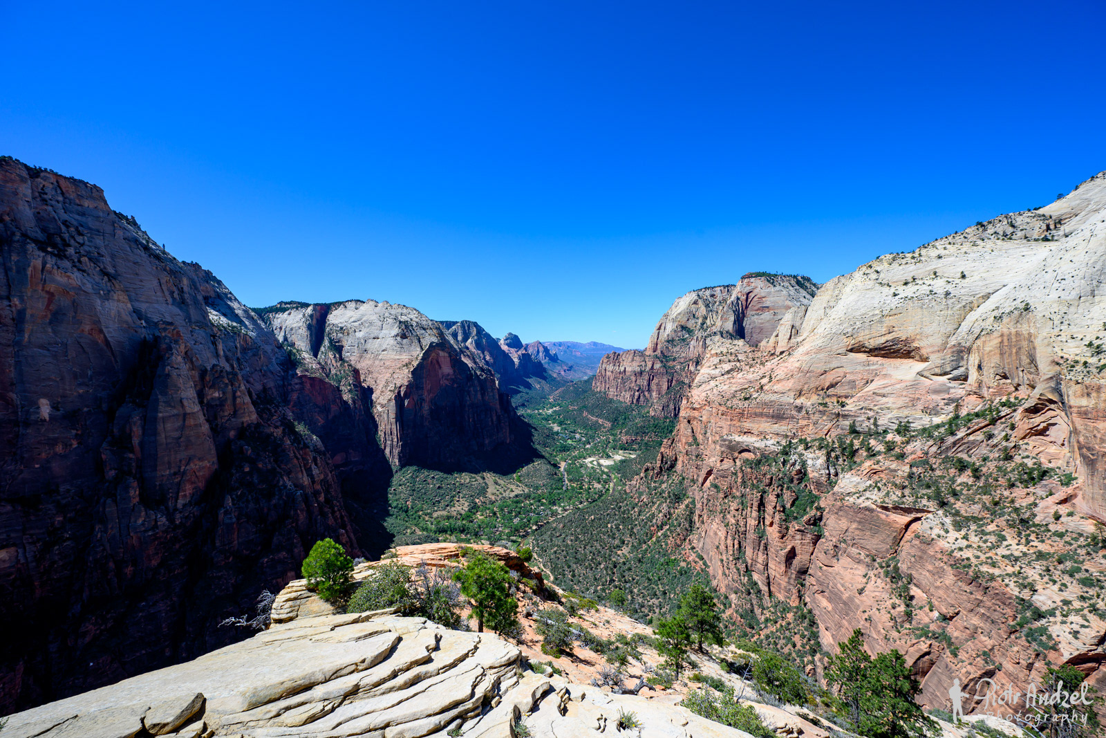 Angels Landing Trail in Zion National Park