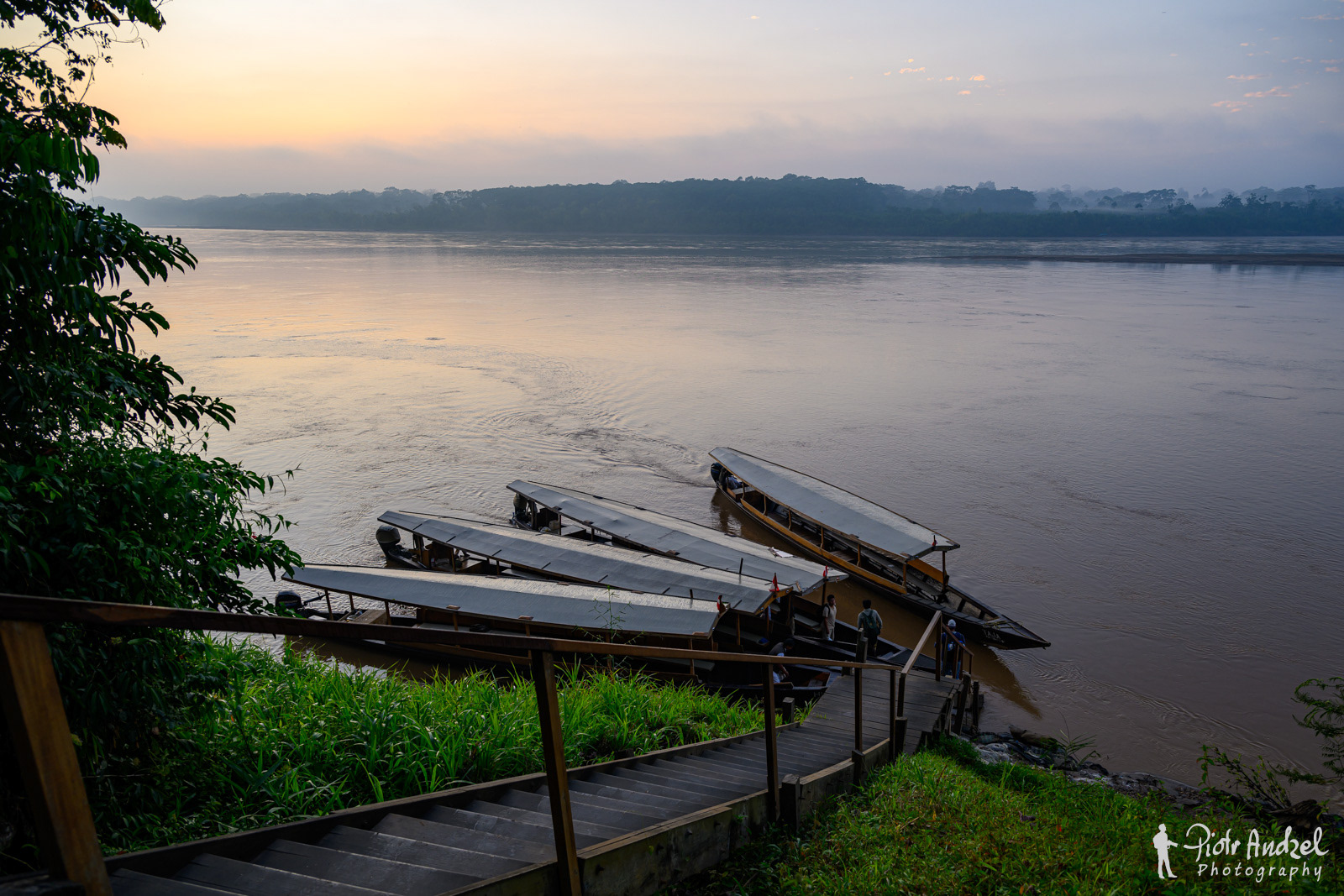 Amazon jungle