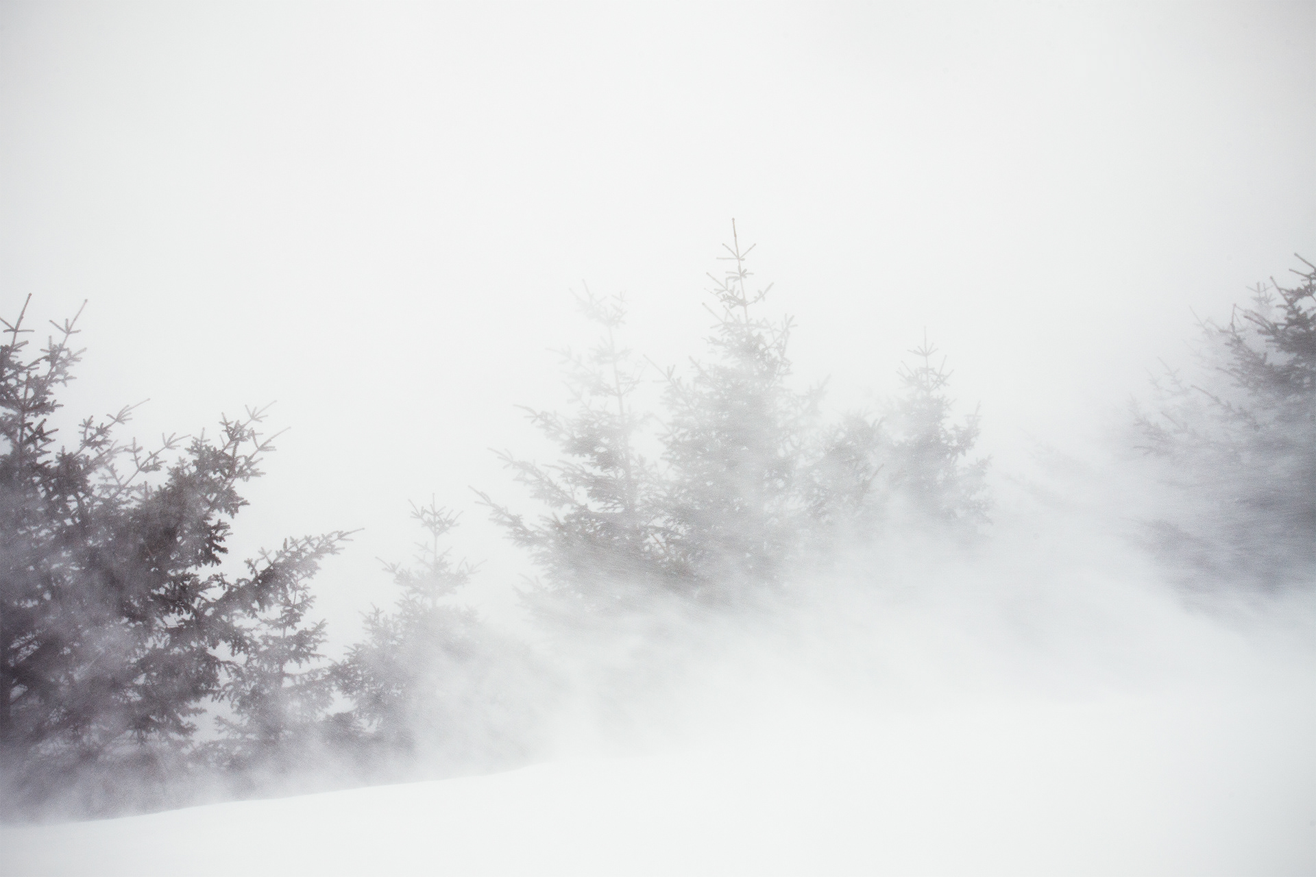 Blizzard II / 2015