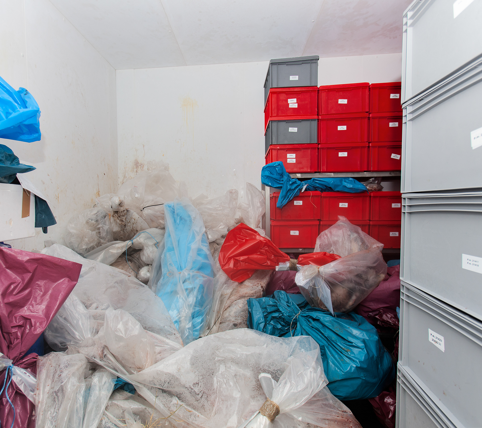 Untitled (Freezer)