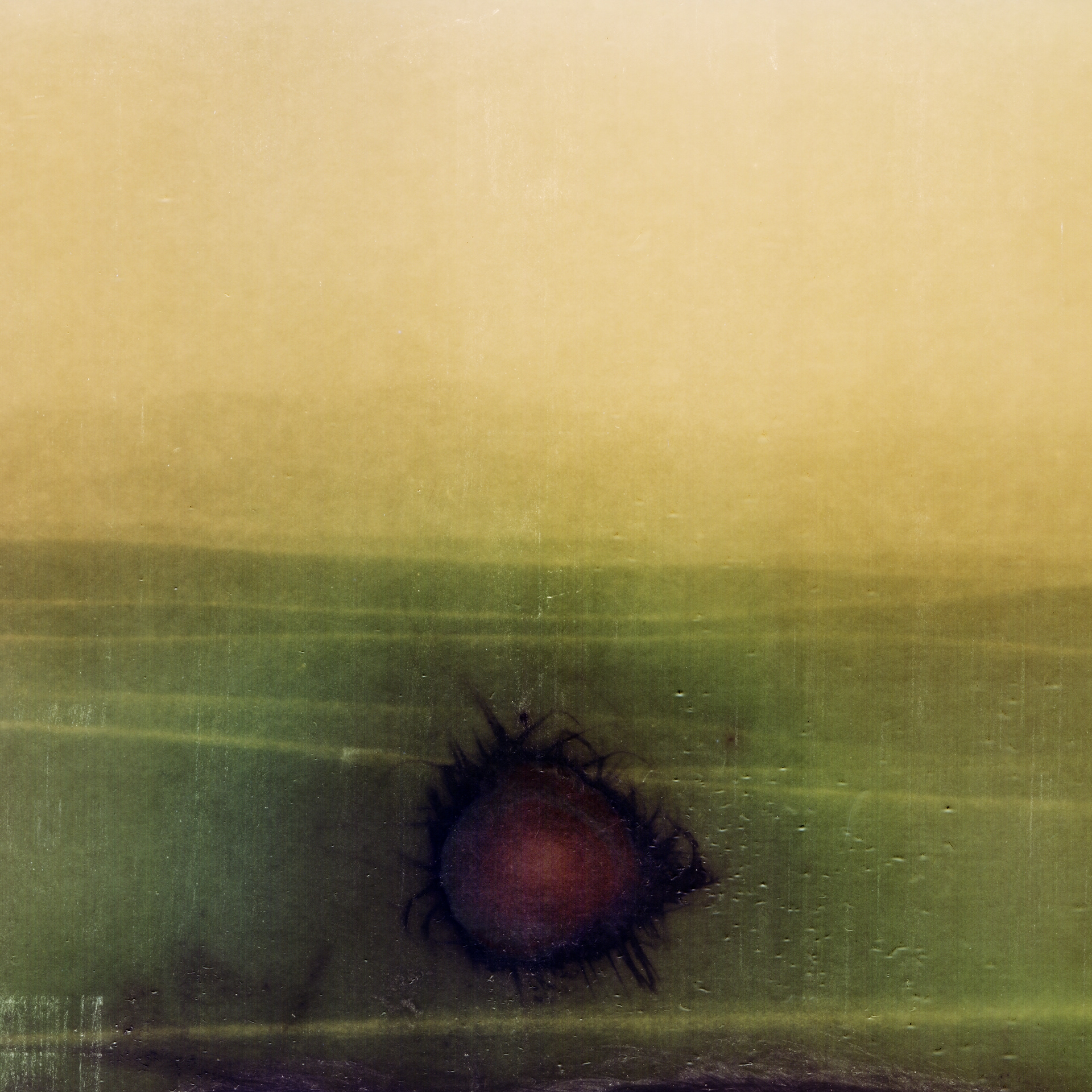 Unknown Event II / 2021