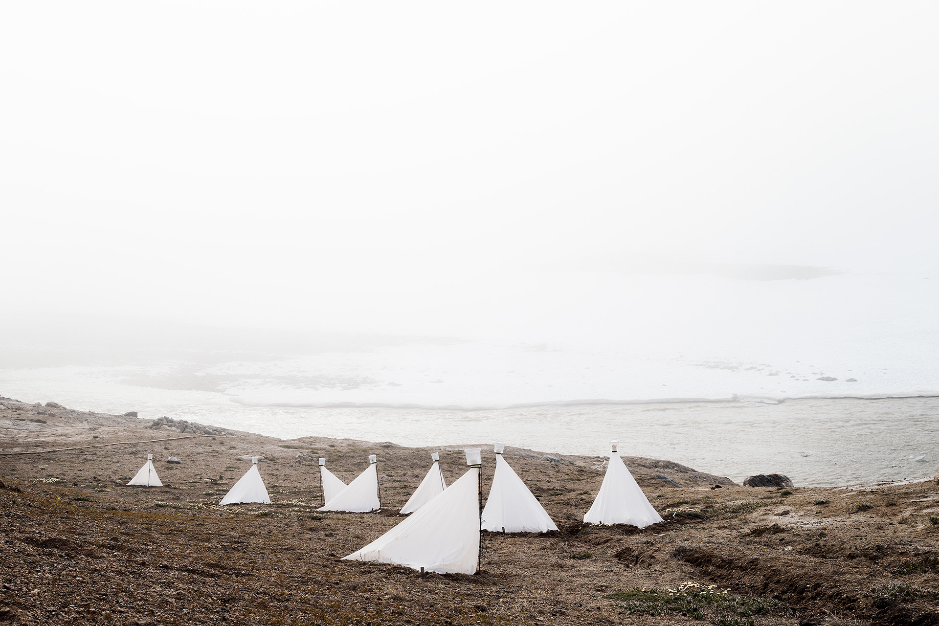Isolation Tents