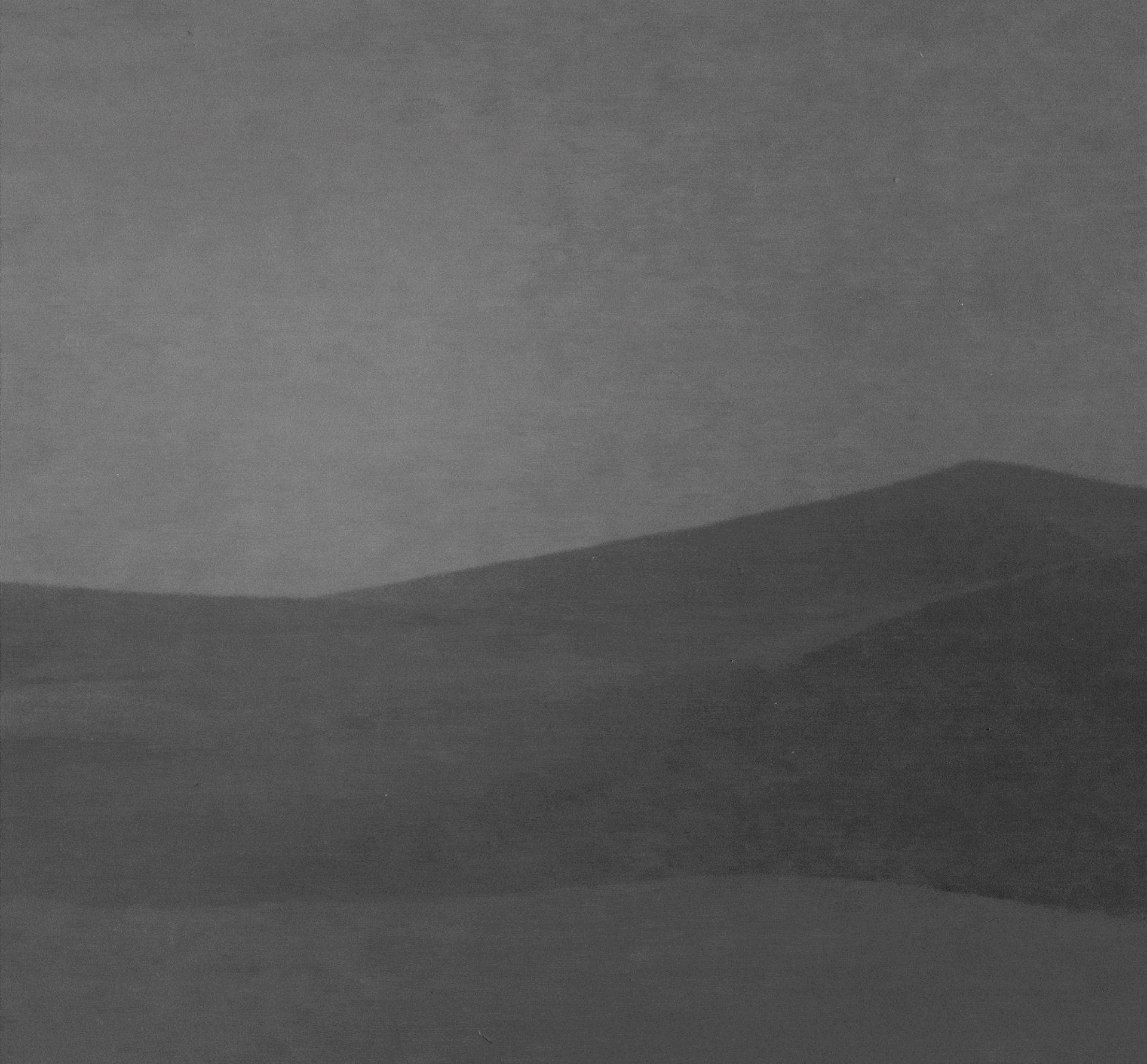 Monochromatic Symptoms / 2022