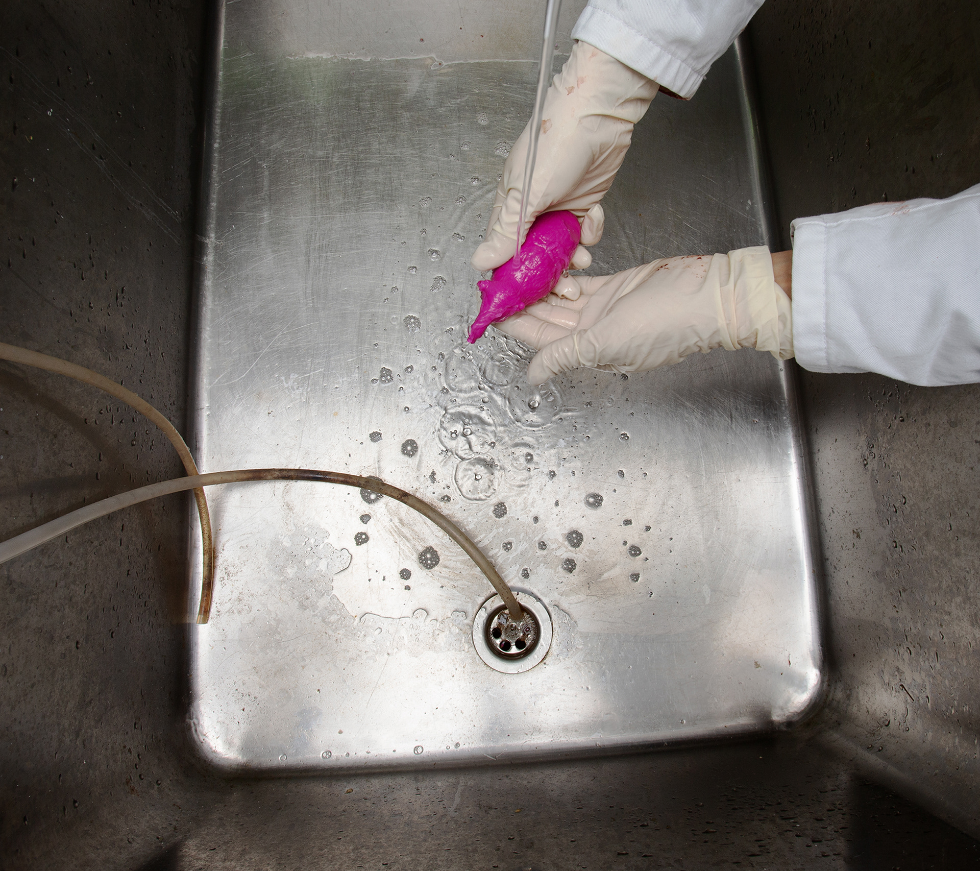 Untitled (Bladder Mold)