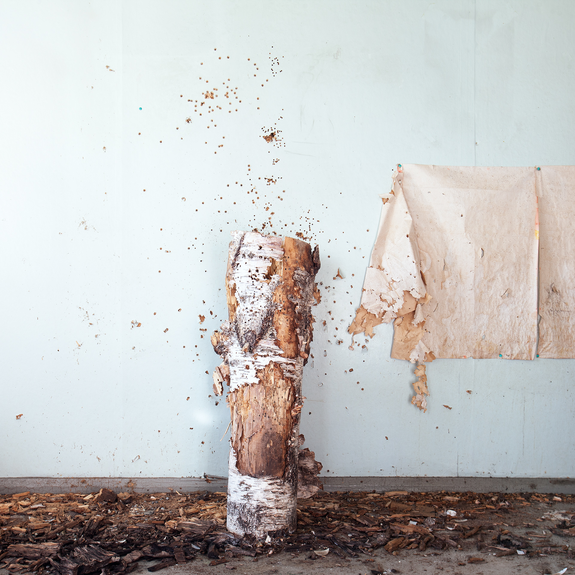 Shooting Range / 2015