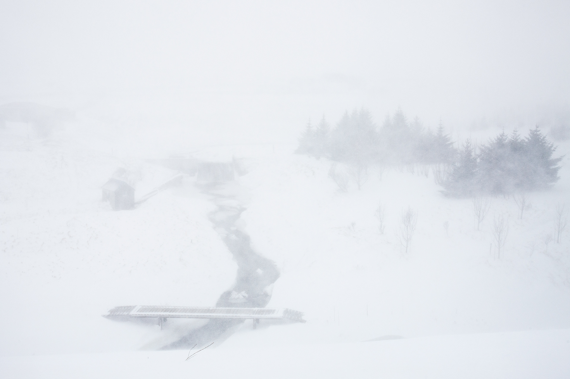 Blizzard III / 2015