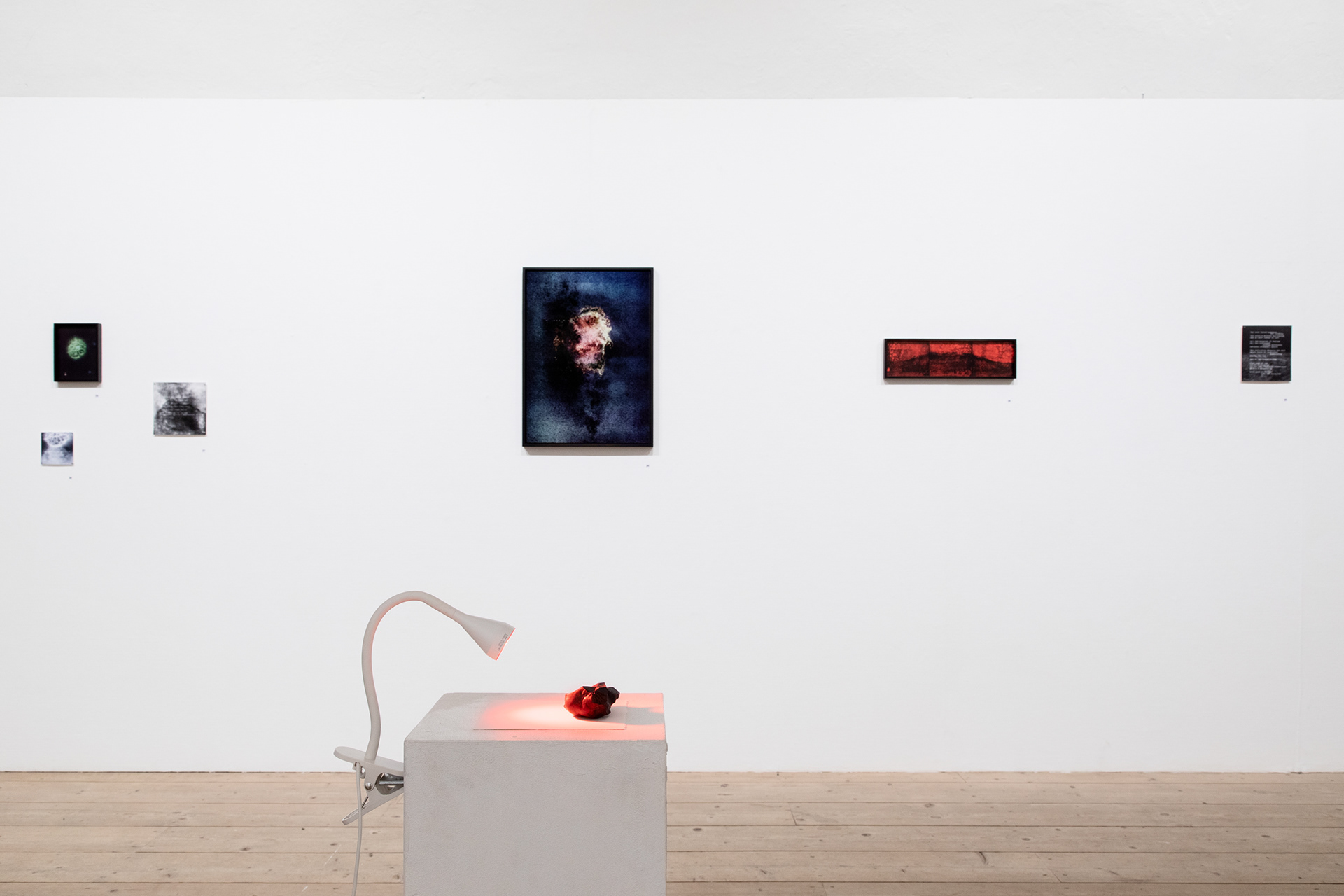 Installation view from HAA Gallery, 2024