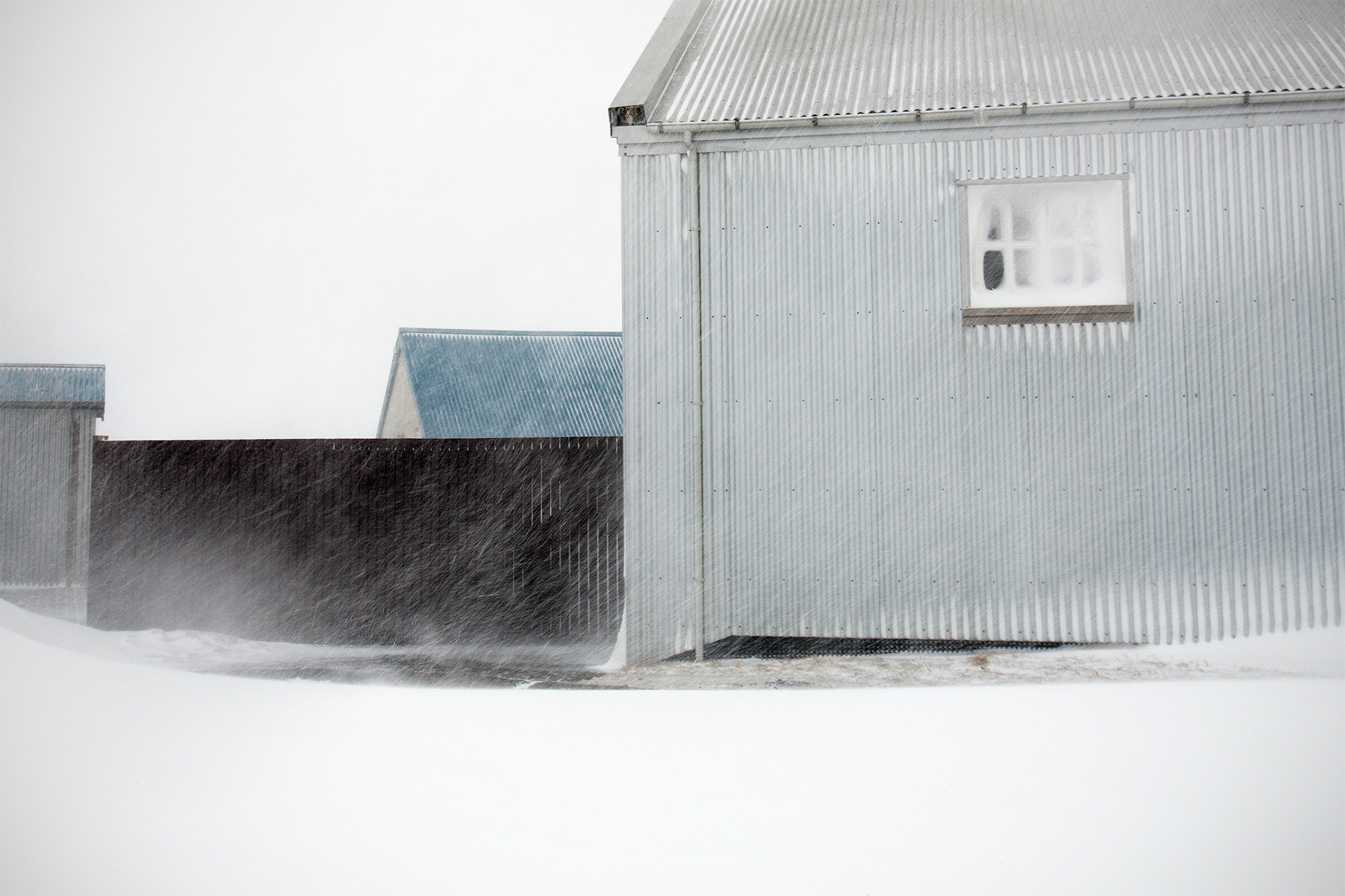 Blizzard I / 2015