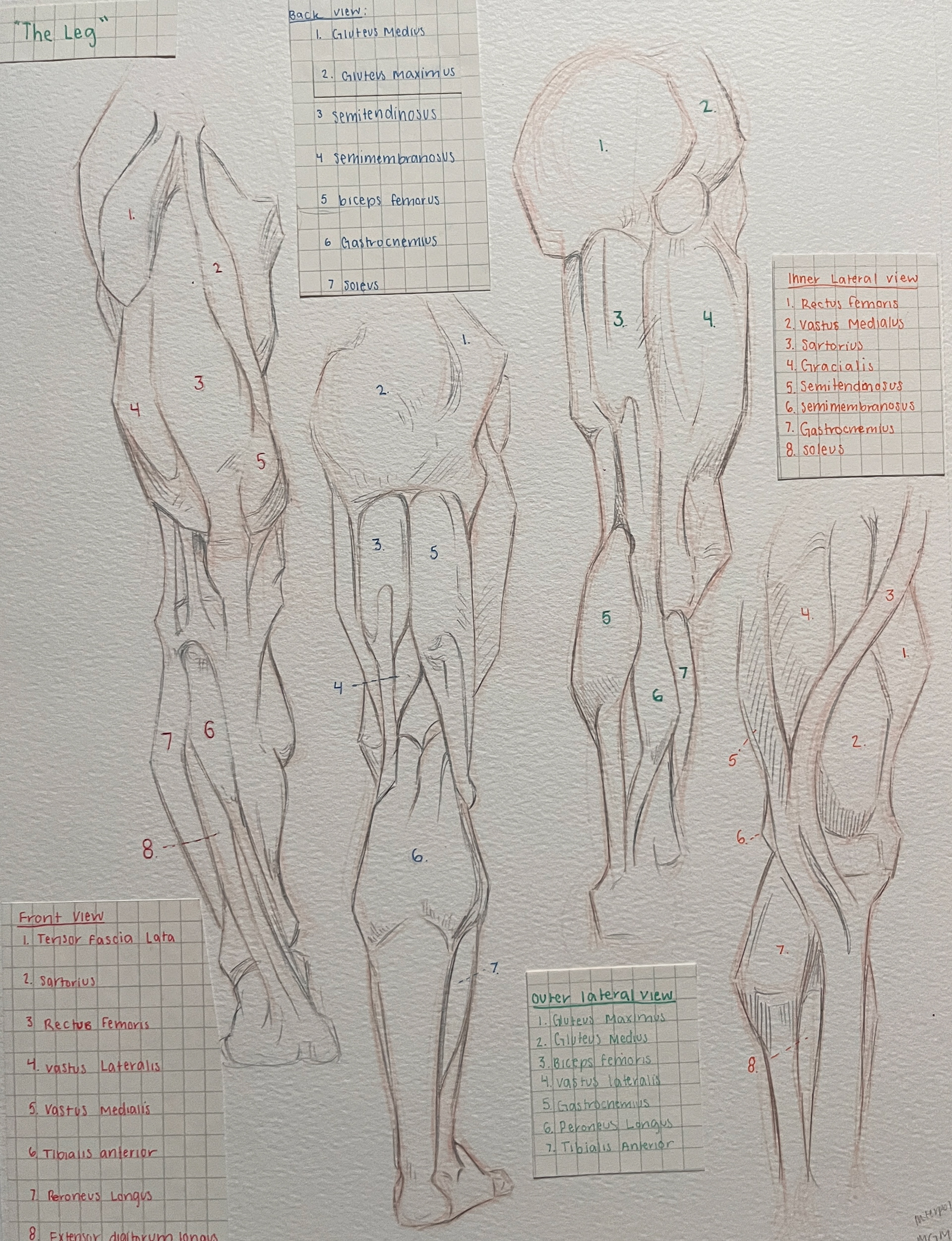 Medium: Prismacolor Col-Erase and Ink