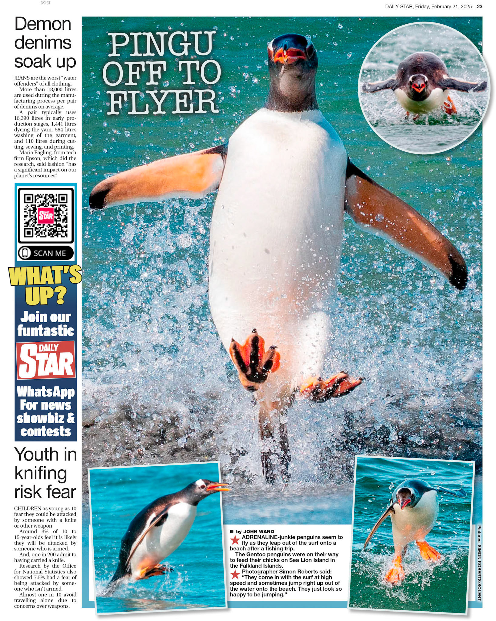 MST.21.1ST.ST.023.PDF