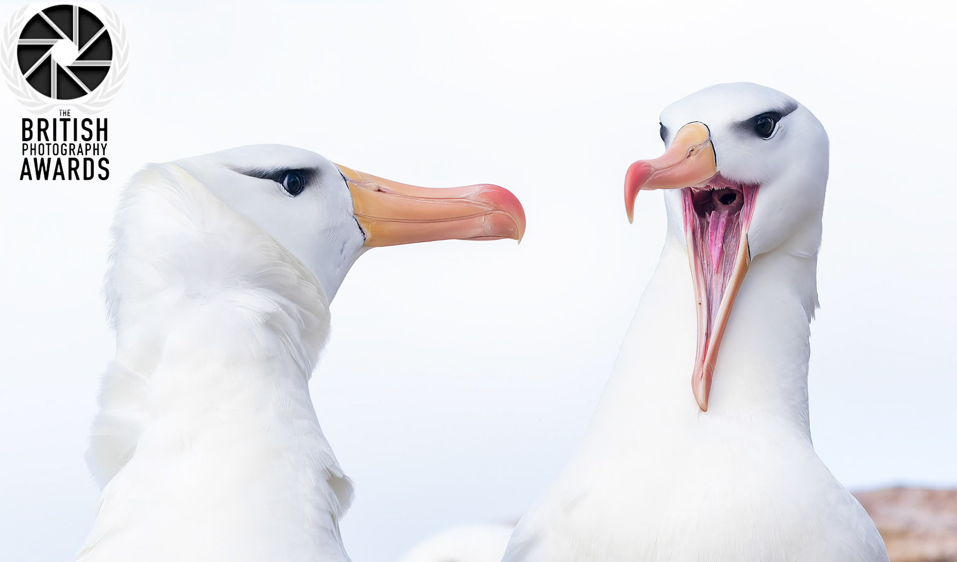 Finalist British Photography Awards 2026