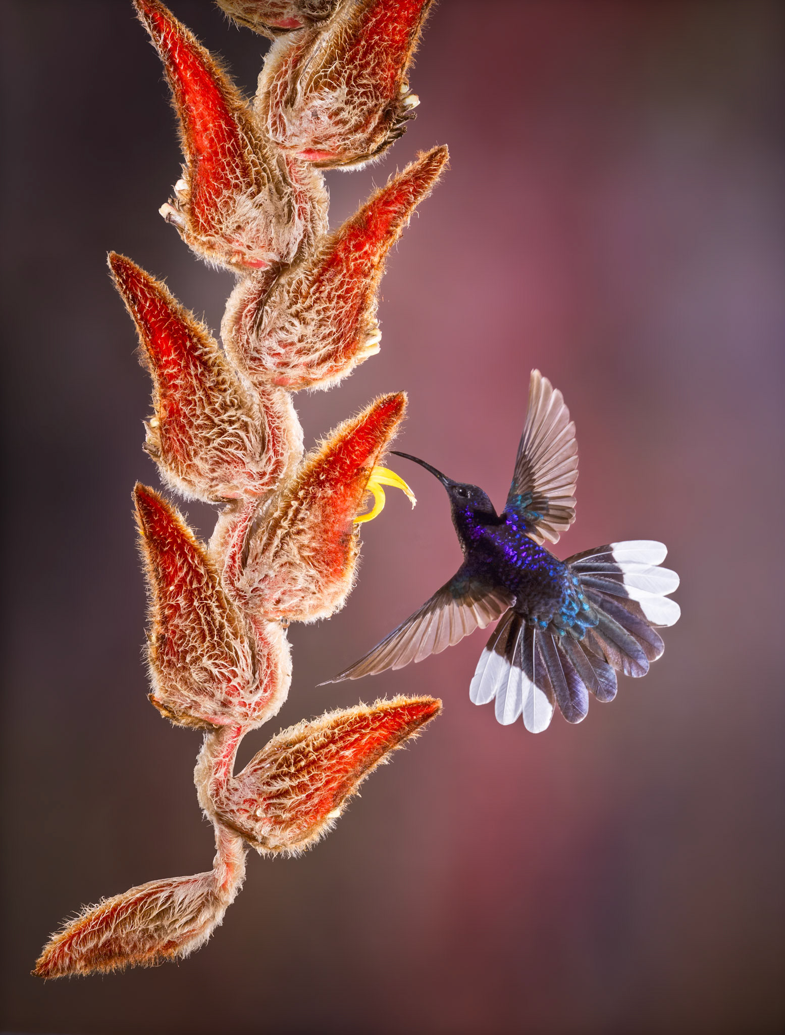 Prize winner Cewe photo awards 2025