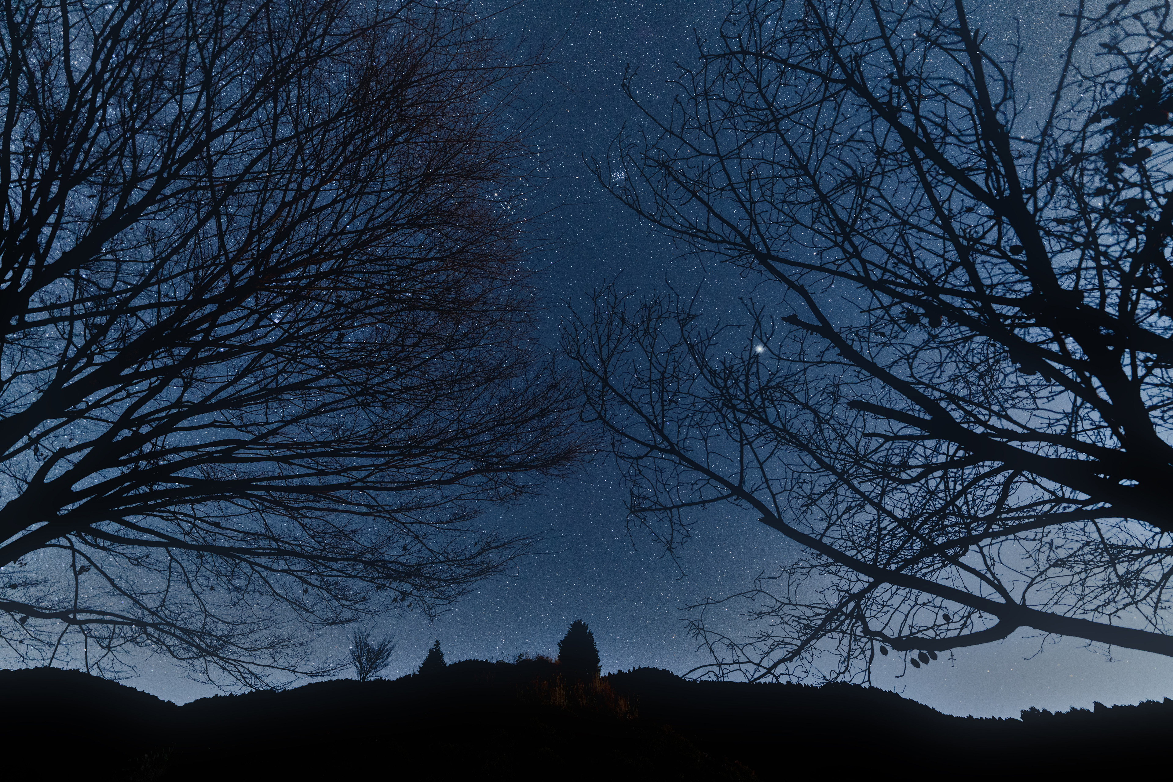 スターパーティ@星の花公園（1/4）