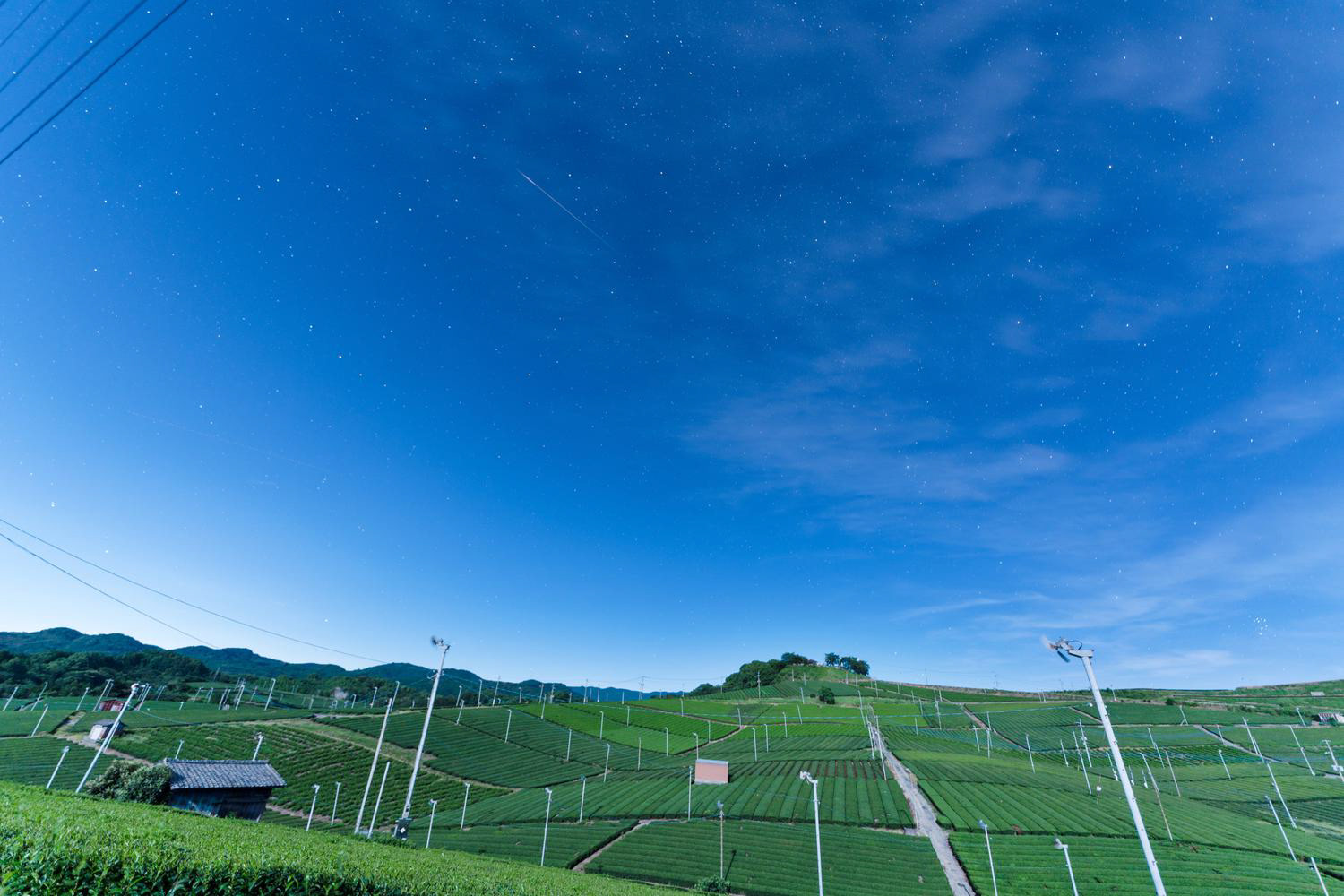 八女中央大茶園(八女市内)と流れ星