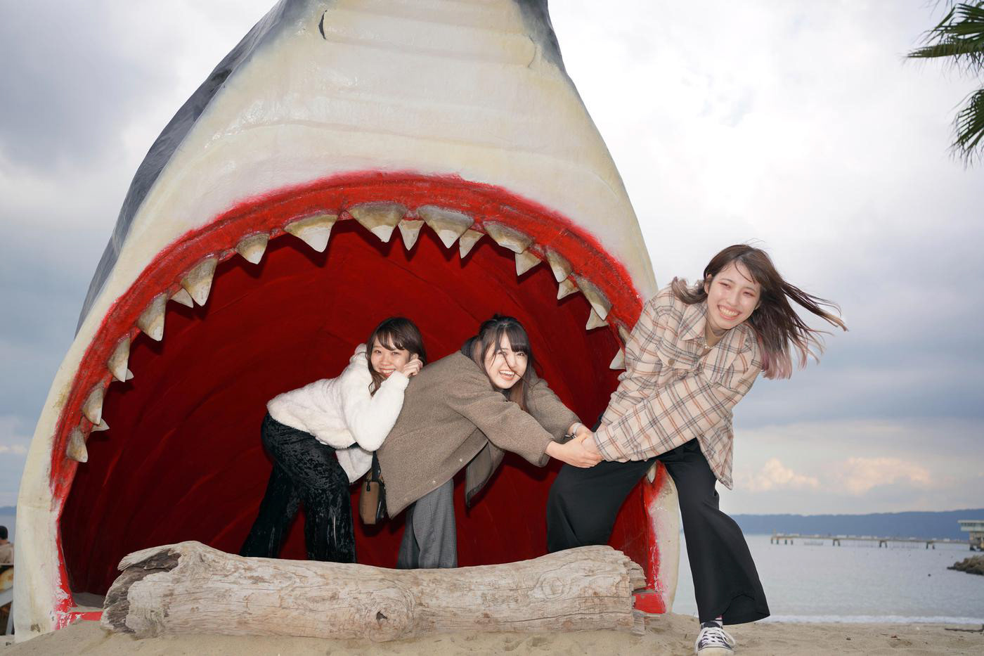 福岡糸島（11/25）