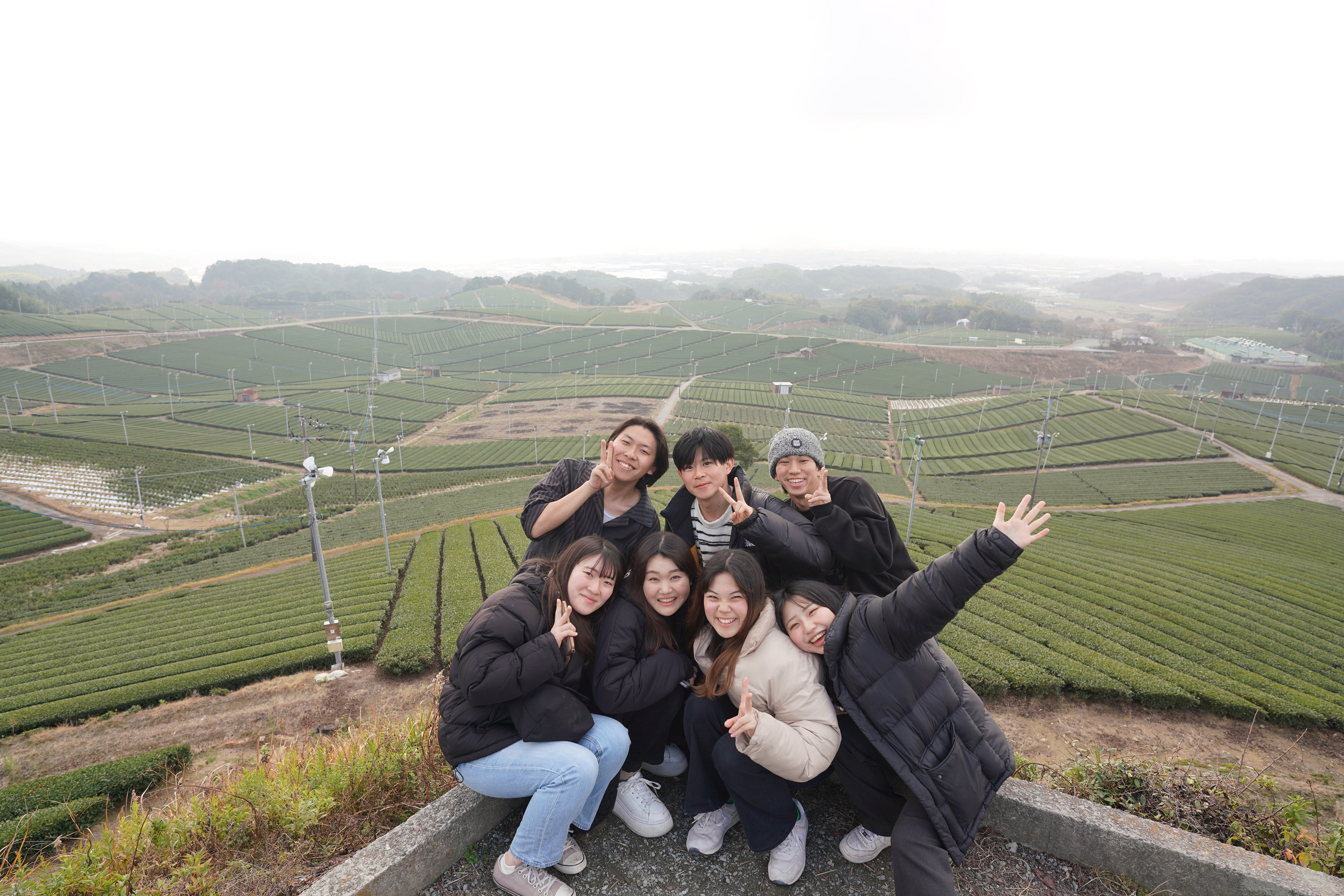 八女中央大茶園（1/6）