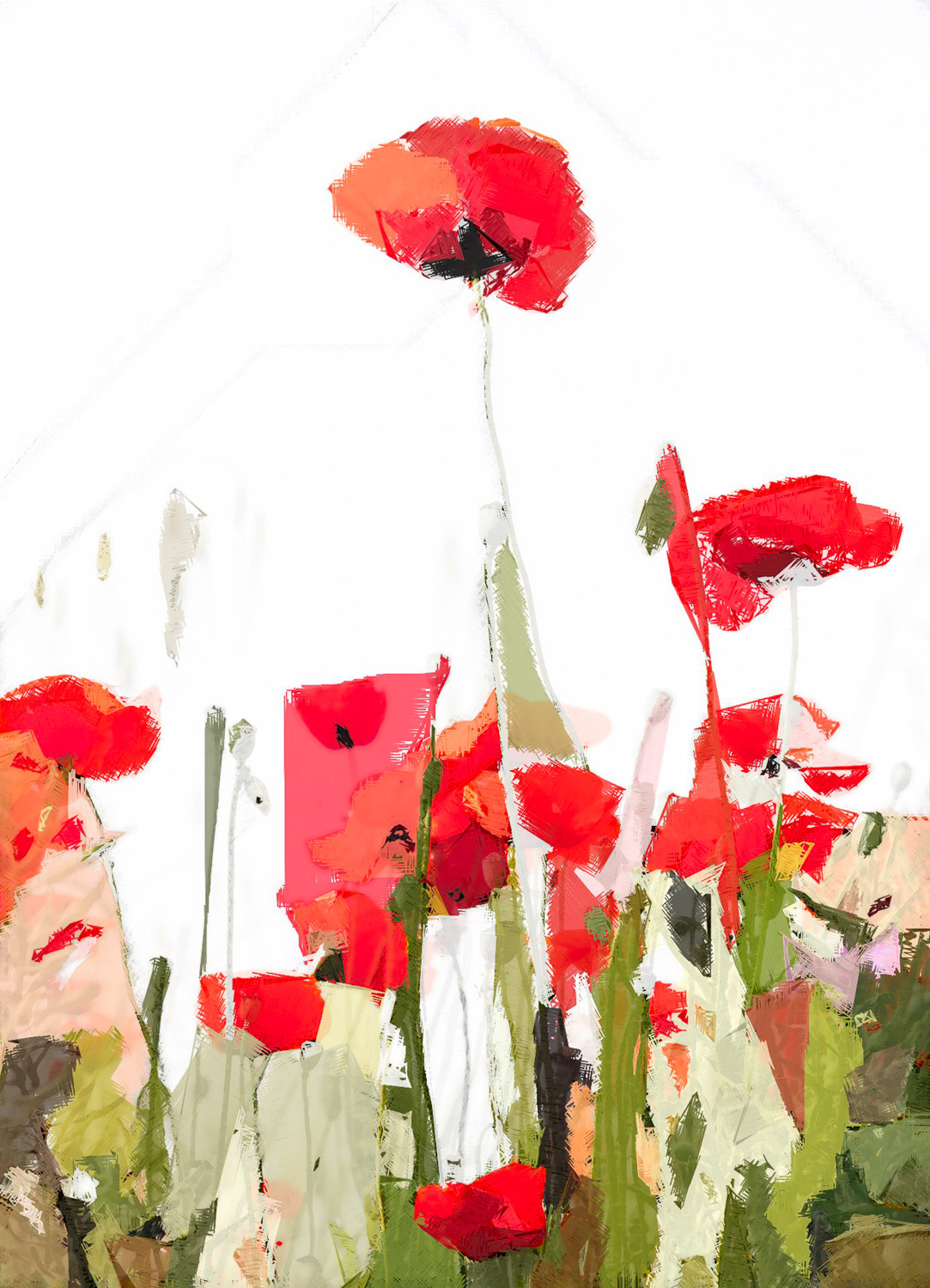 Love Poppies