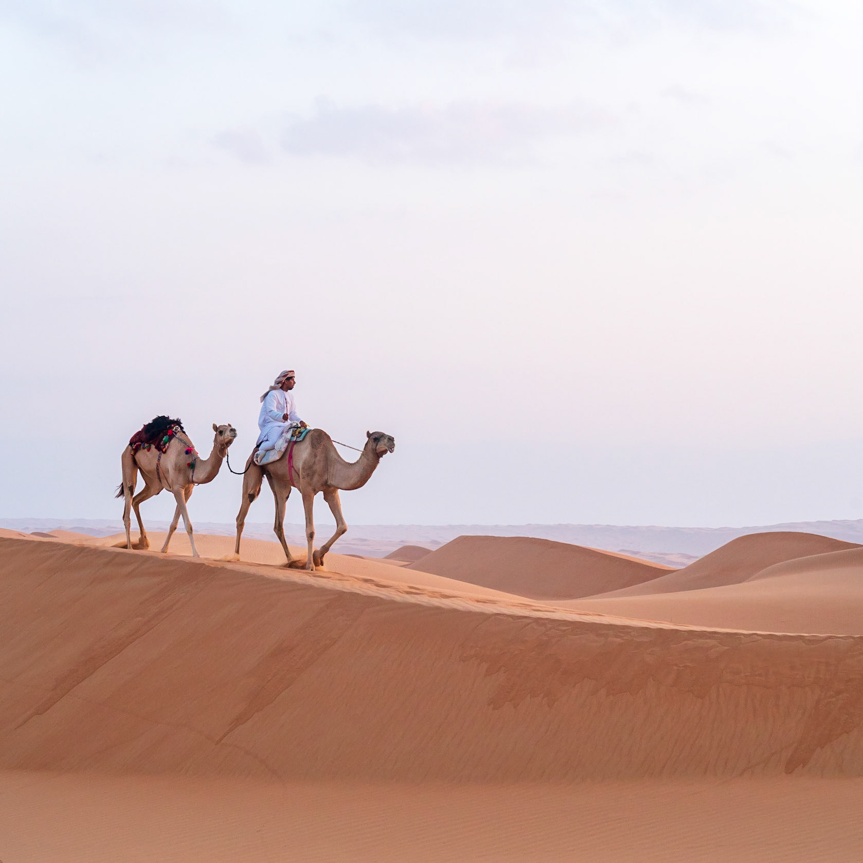 Dune Ride