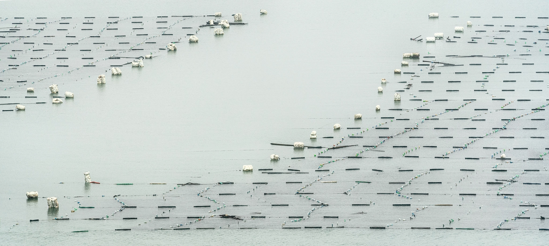 Fishing Lines
