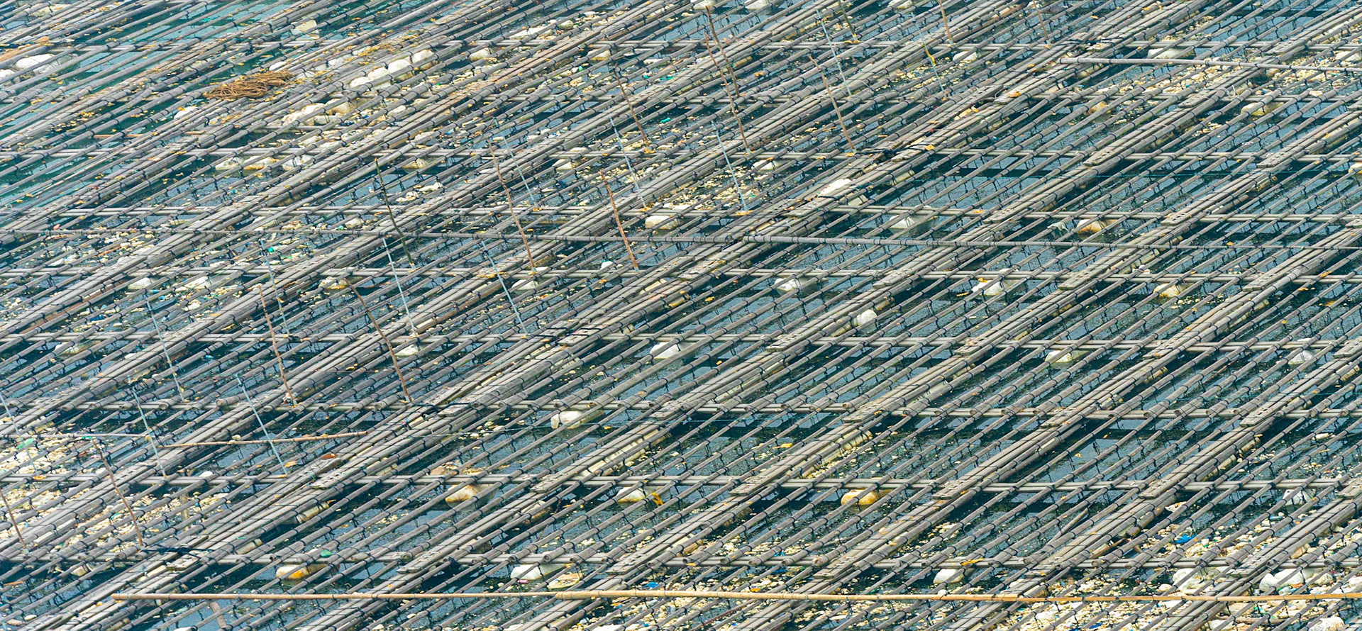 Gridlocked