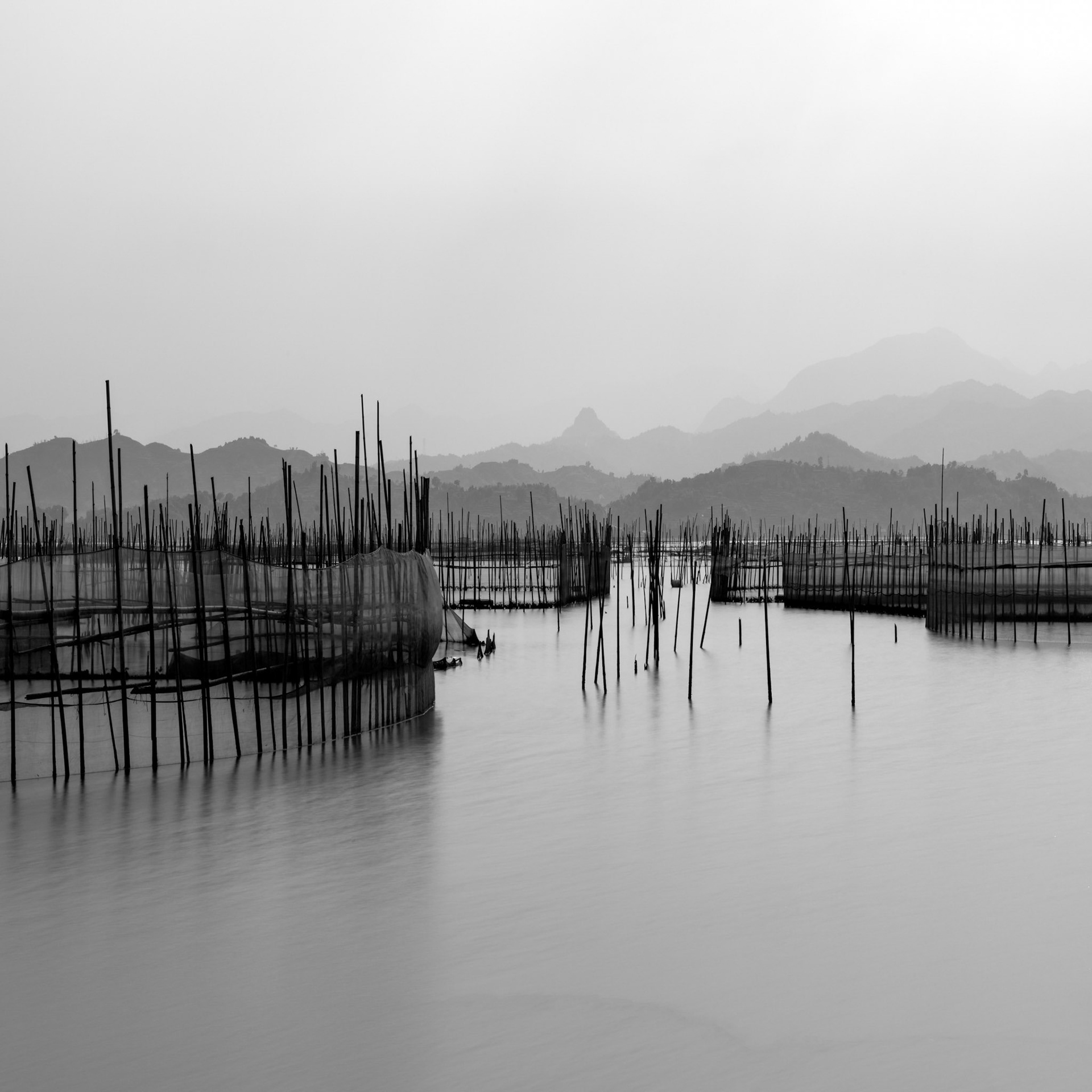 Shades of Grey