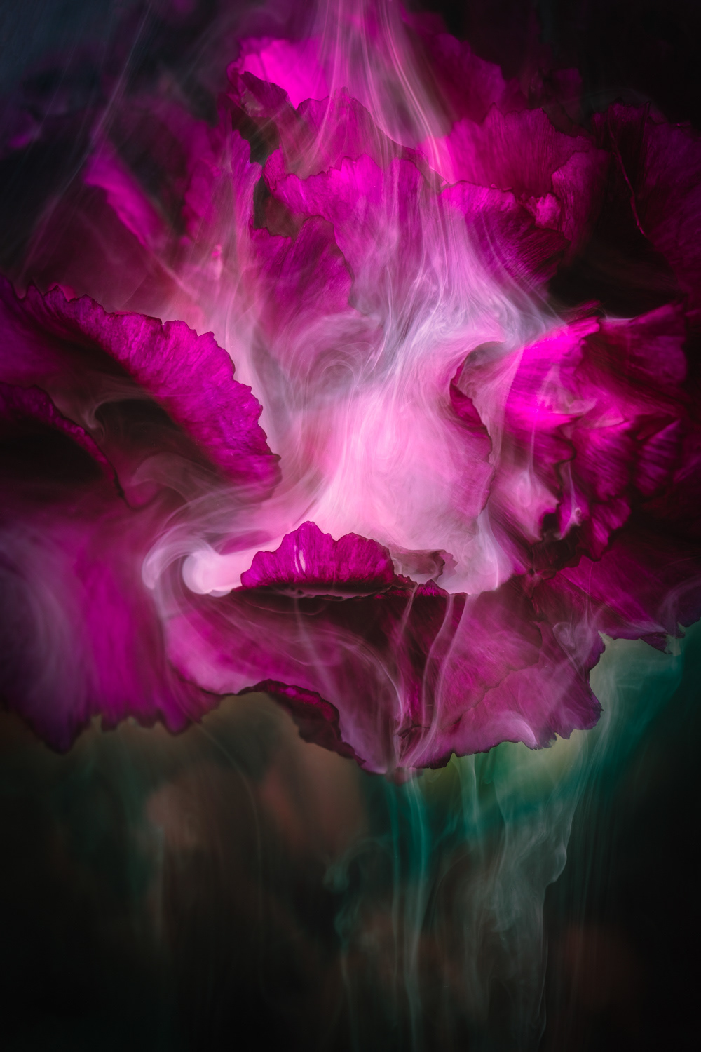 Magenta Flow