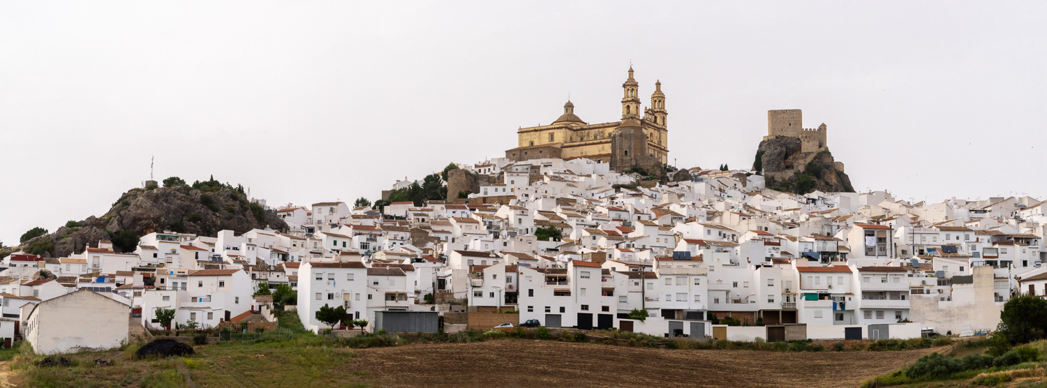 Olvera