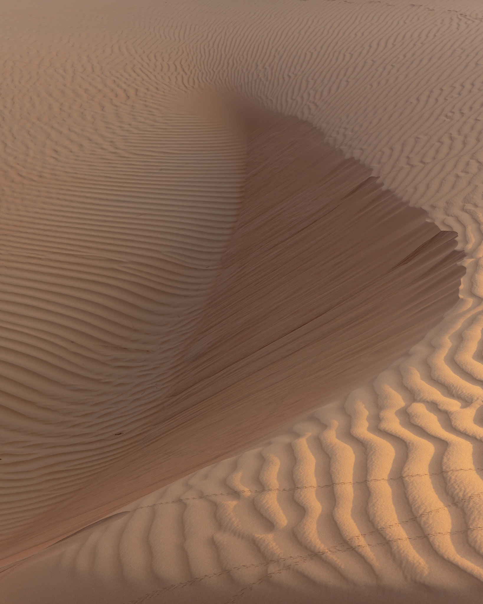 Natural Abstract