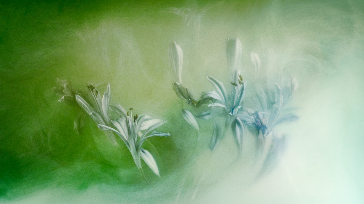 Sea of Green