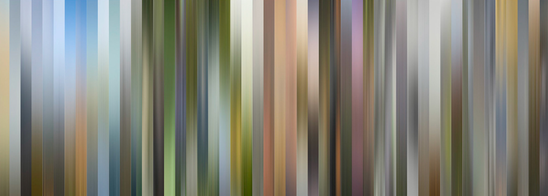 Colors of the Everglades