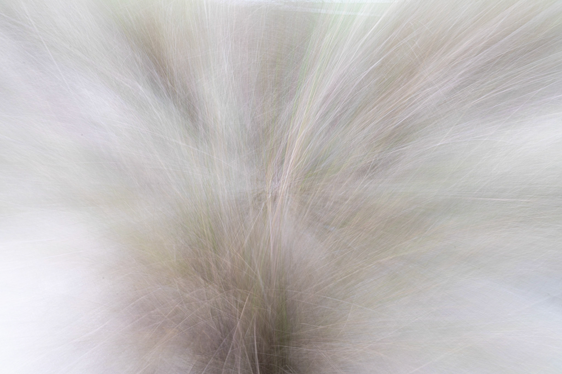 Sawgrass II