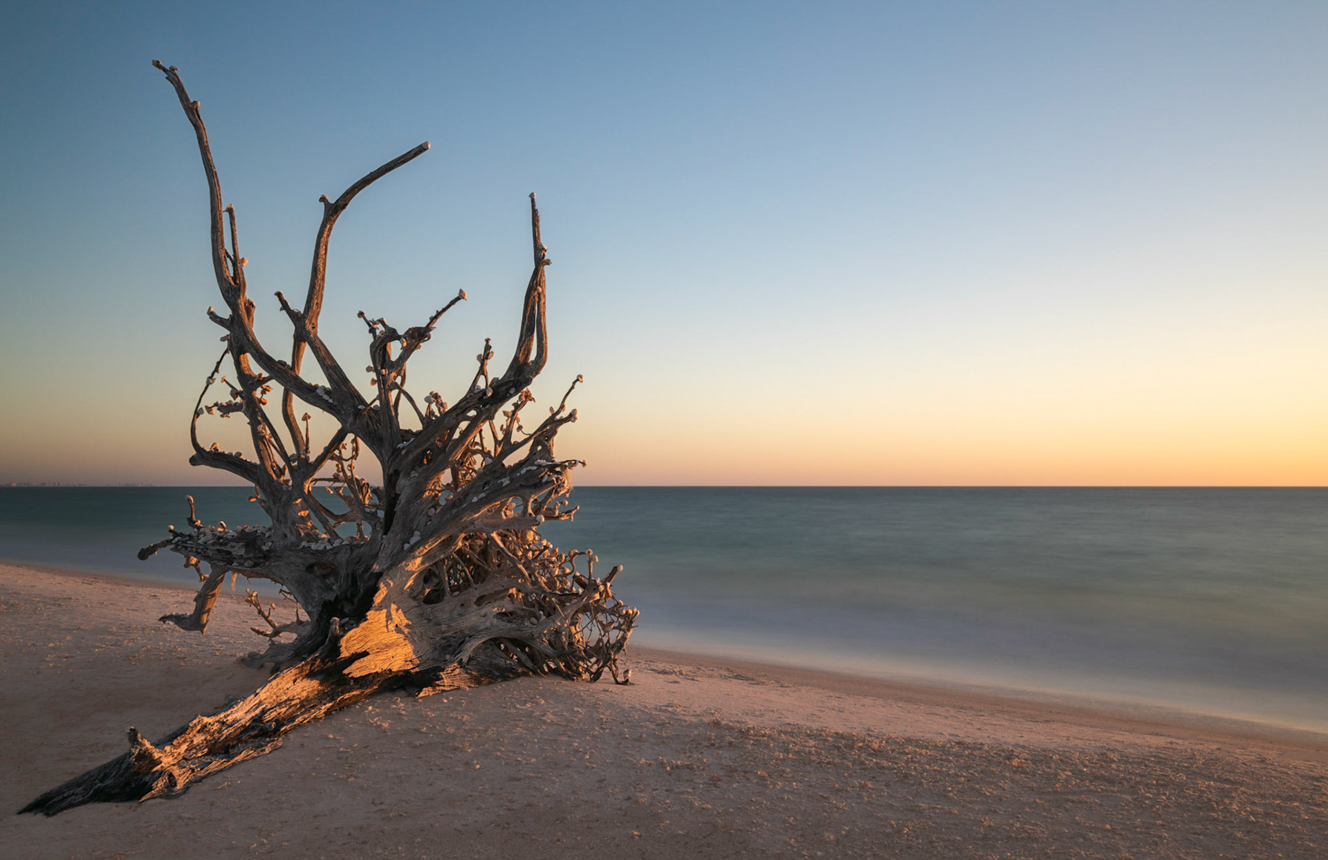 Lover's Key State Park