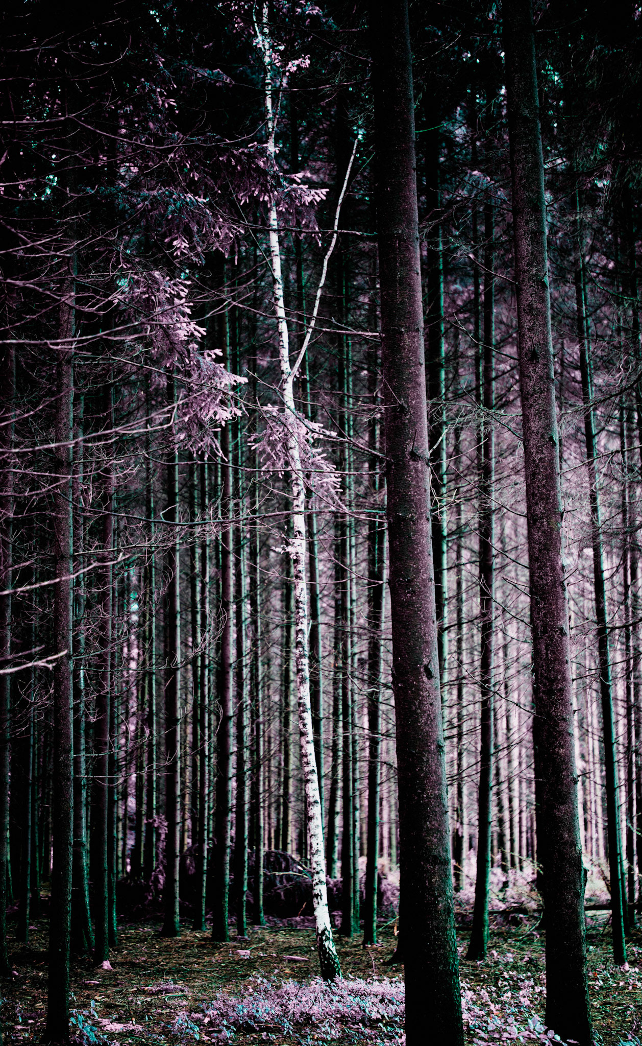 Be different