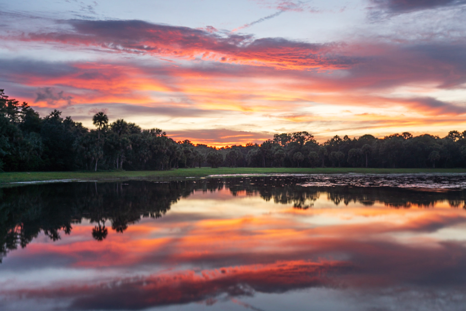 "Sunset at Harns Marsh"