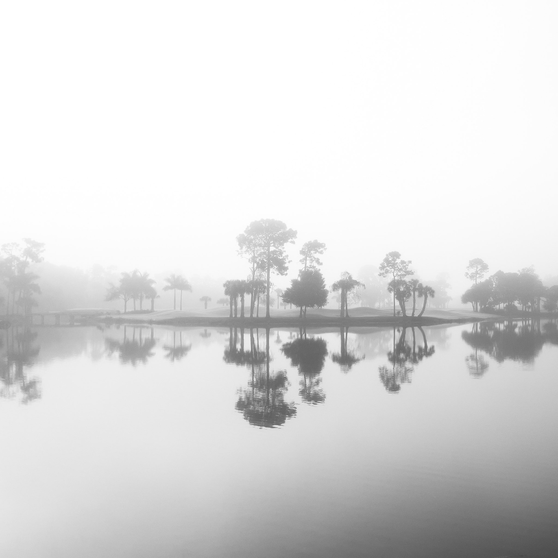 Twilight Fog