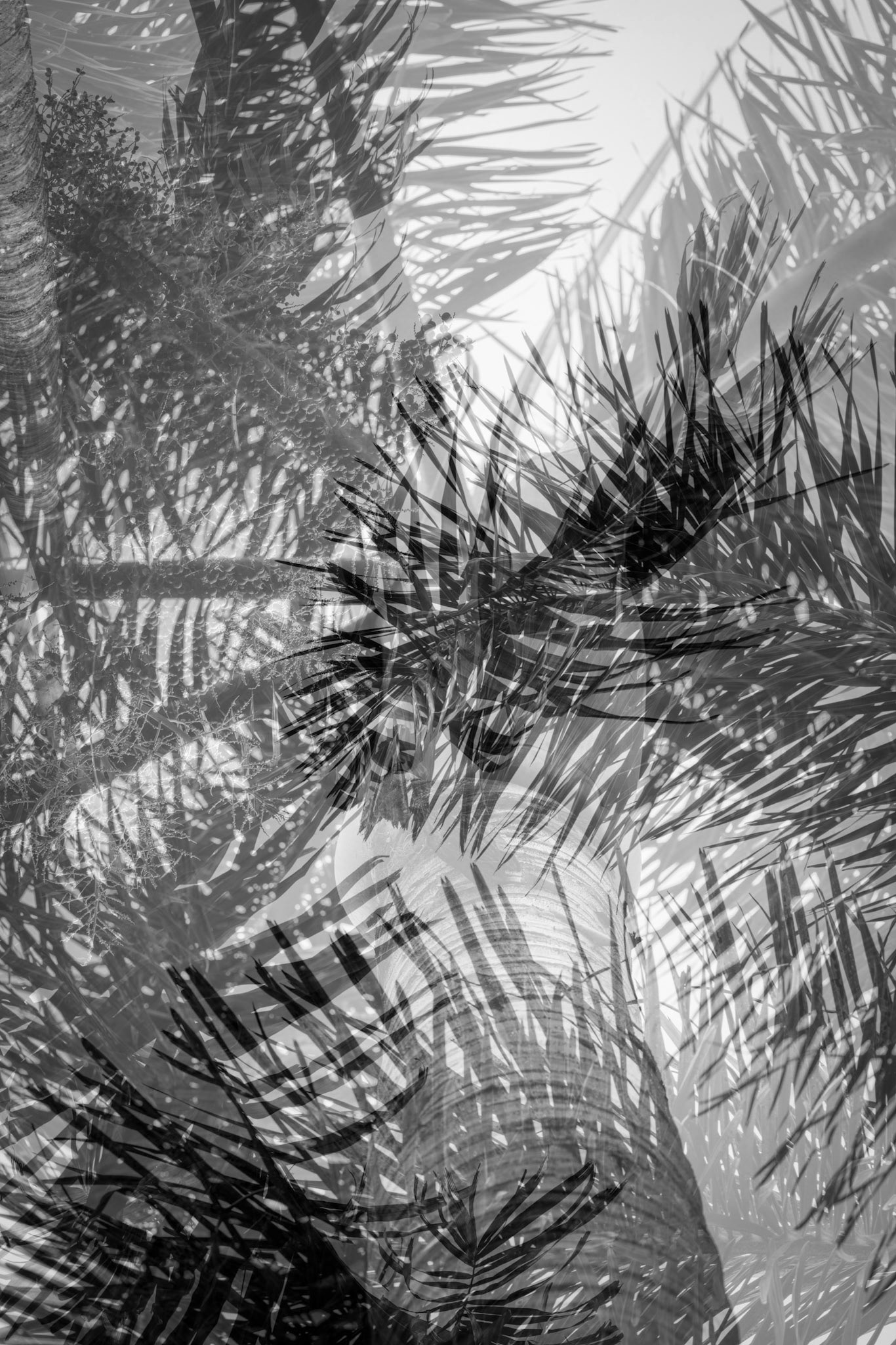 Tropical Storm - I