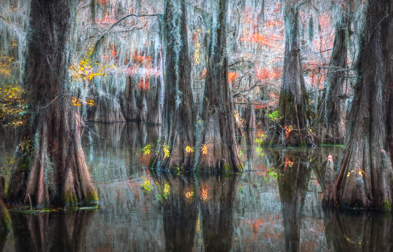 Pockets of Color