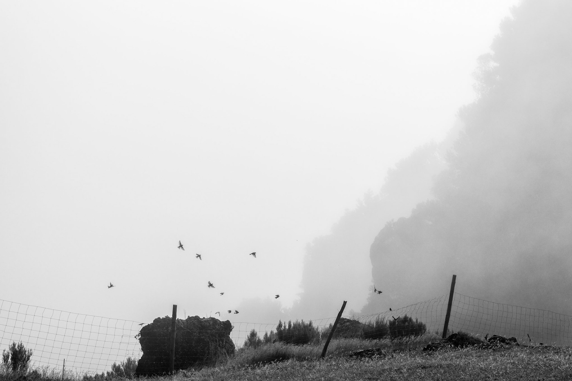 In the Clouds 2