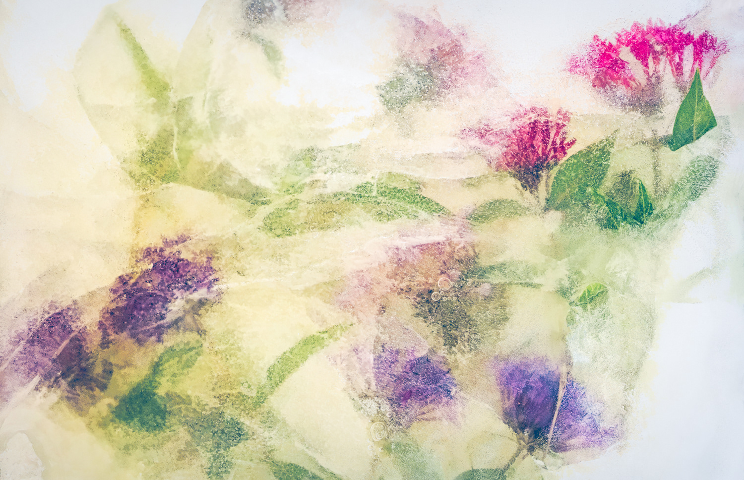 Ice Float