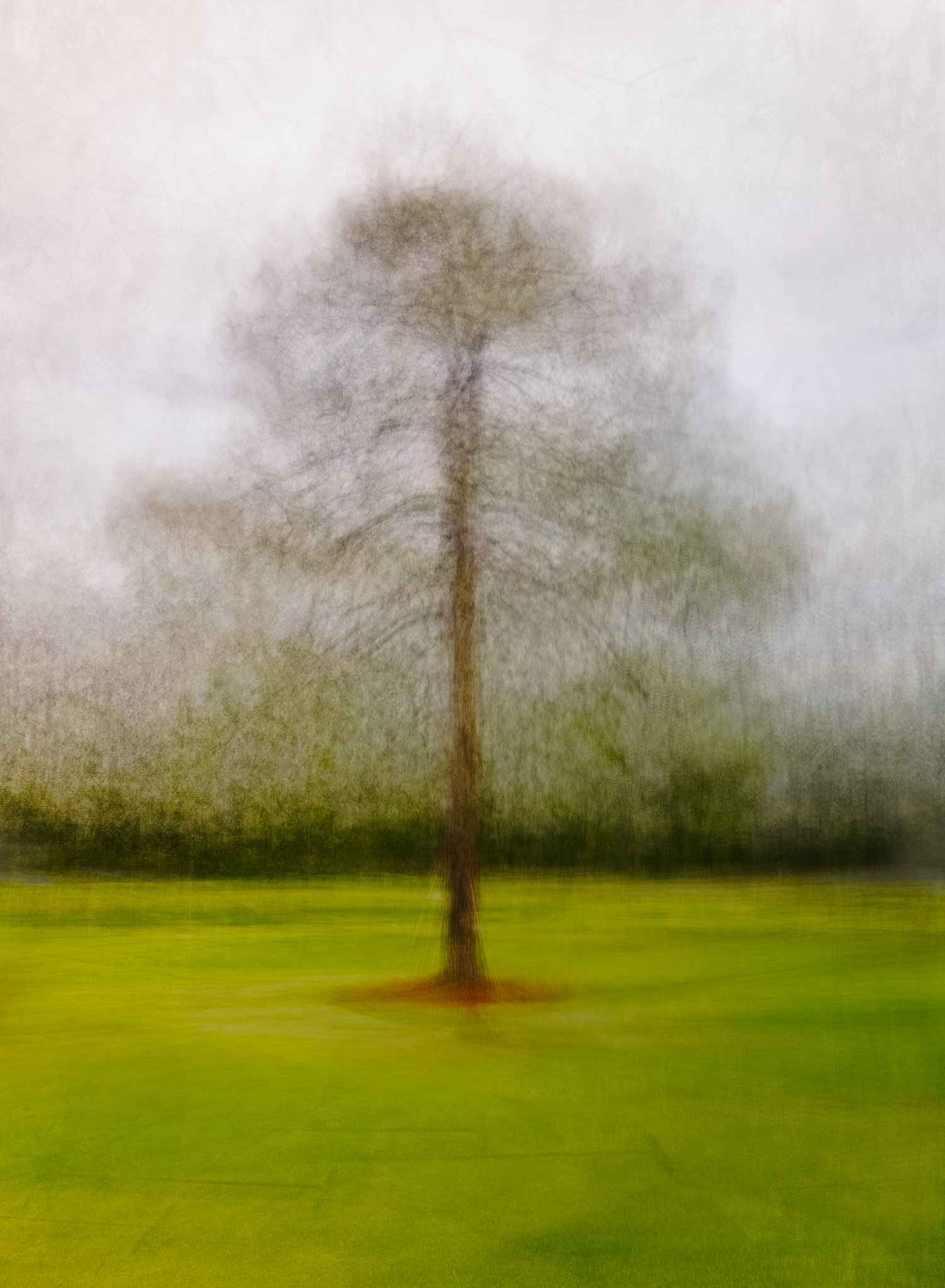 Fine Pine