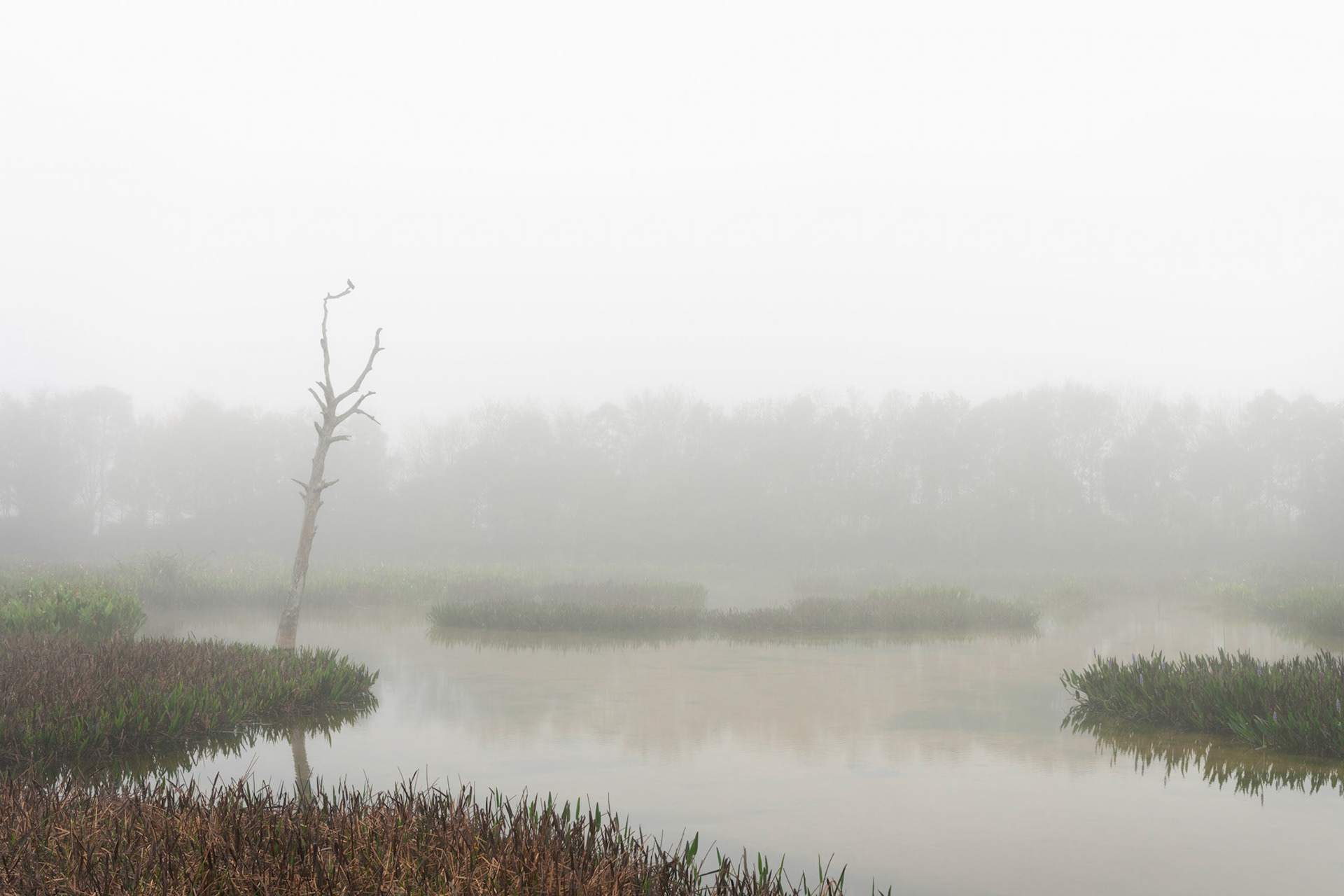 Fog over Green Cay