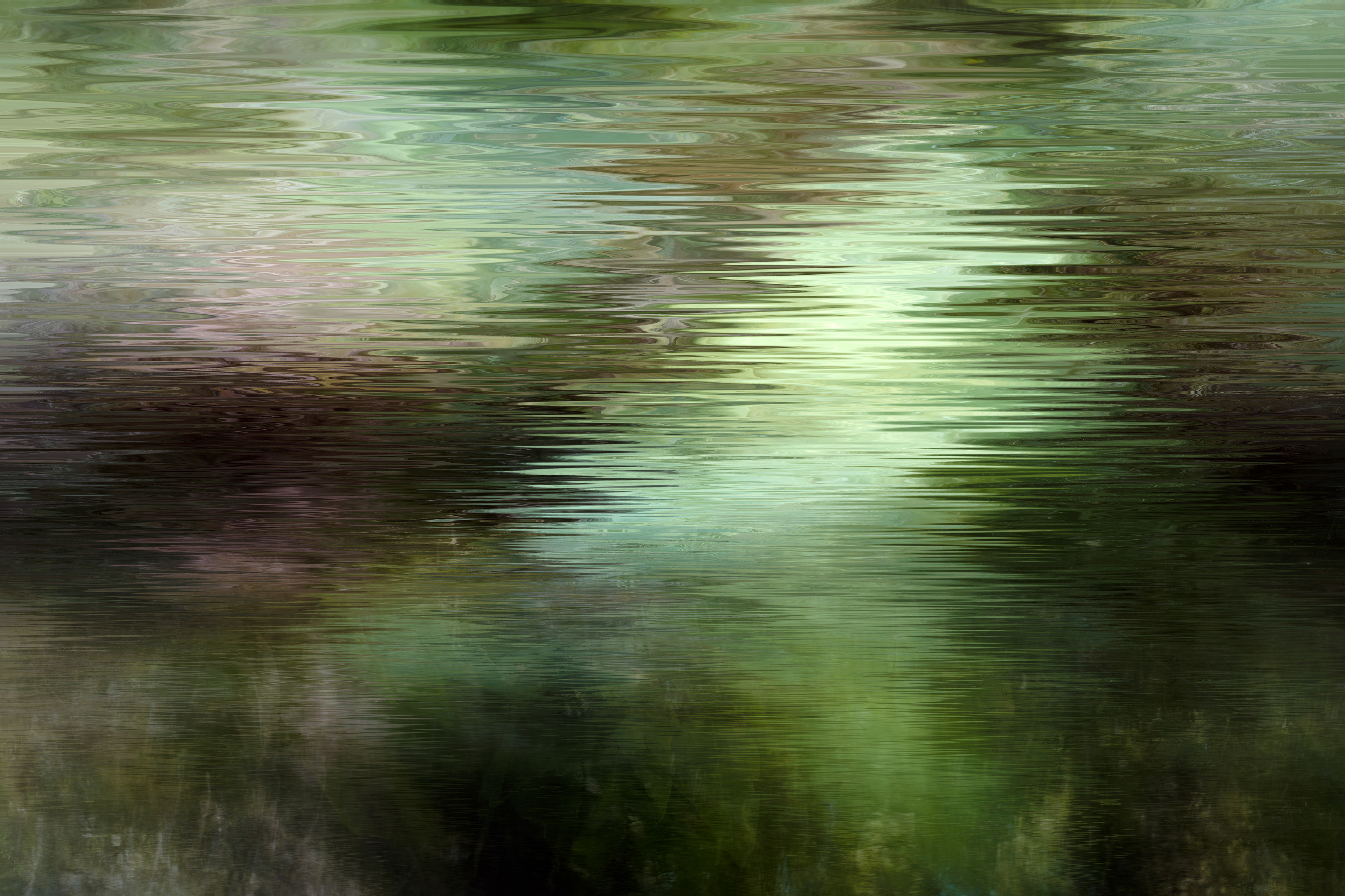 Swamp