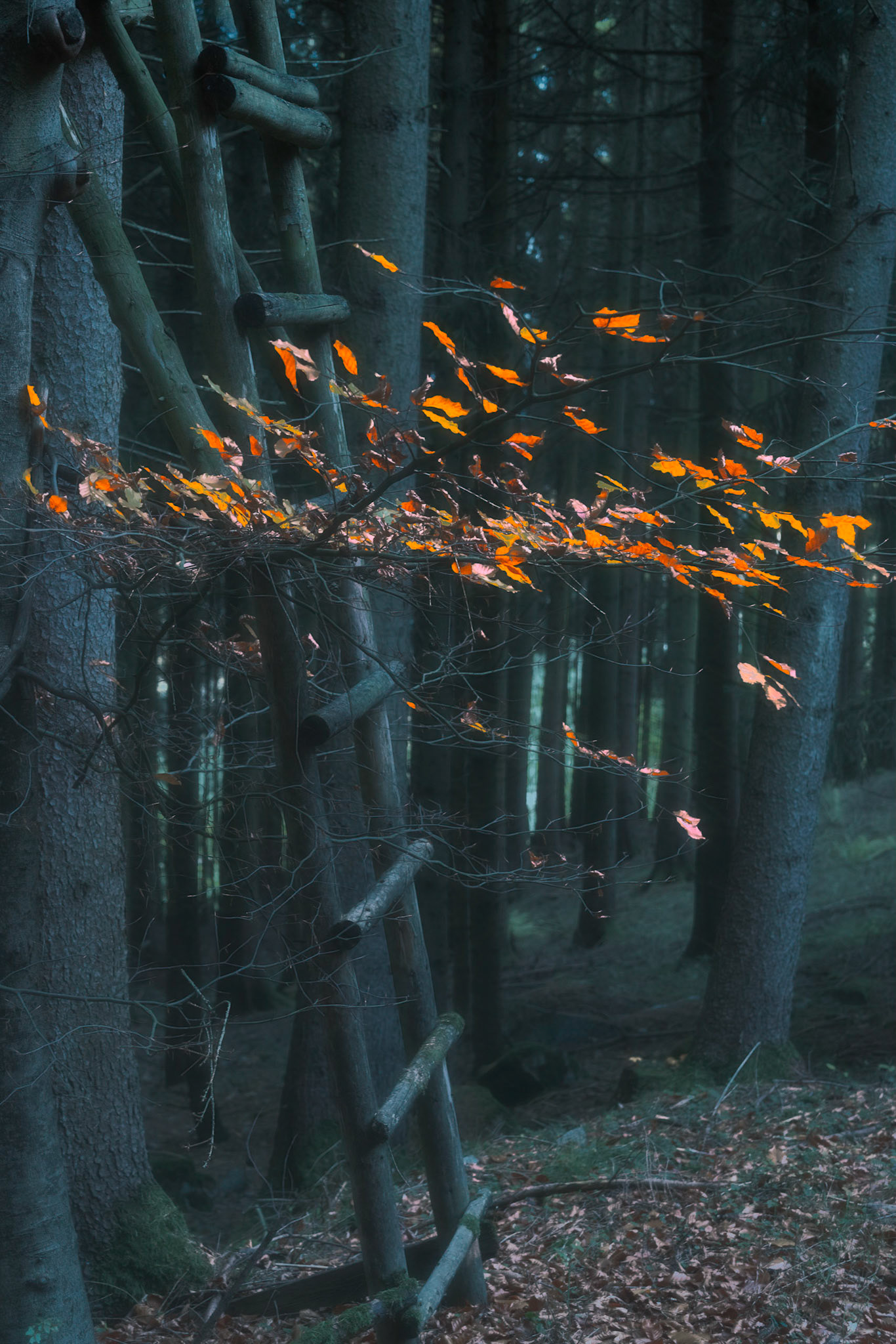 "The Bright Spot"
