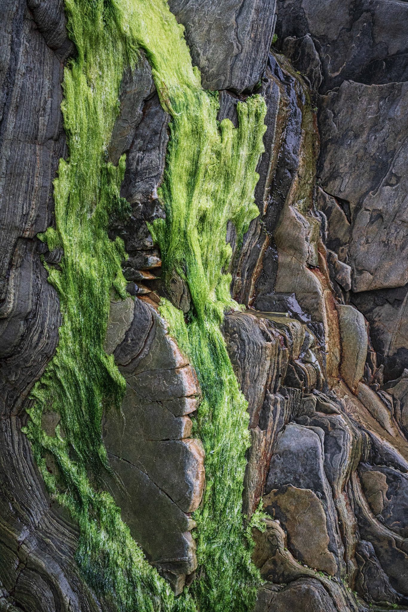 Resilience