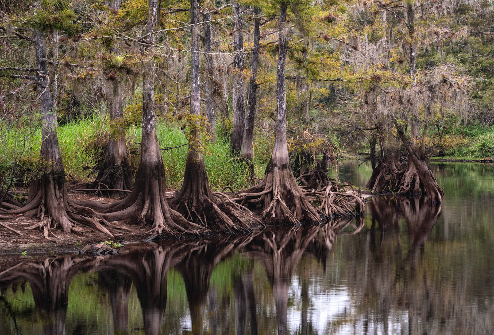 At Fisheating Creek - II